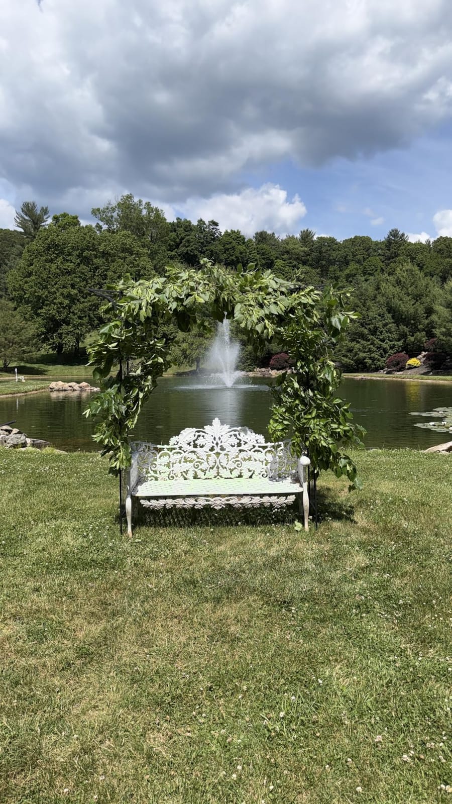 VINGLI Garden Arbor, Arch Archway for Wedding Ceremony Party, Steel Garden Trellis for Plant Climbing, Christmas Decorations Pergola for Backyard, Lawn, for Hallowmas (Black) customer photo 1