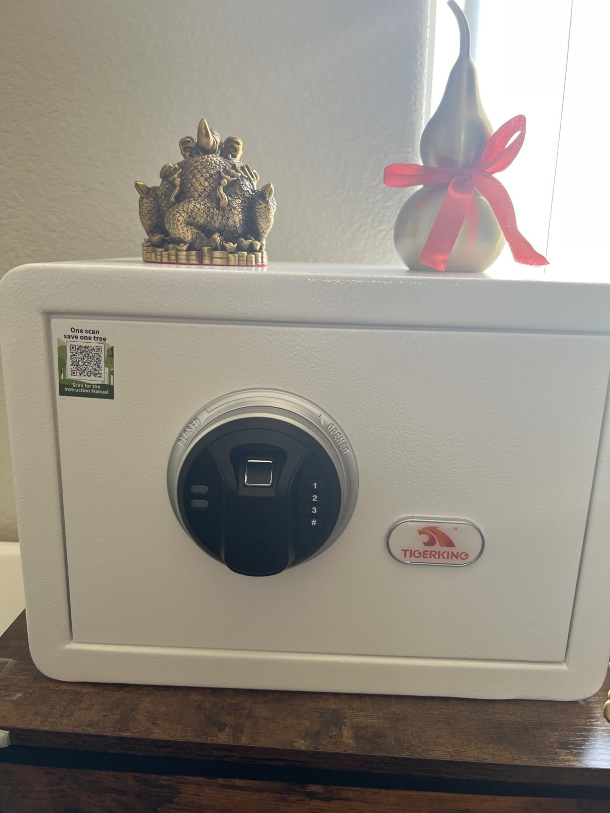 TIGERKING Biometric Small Home Safe with key and digital keypad customer photo 2