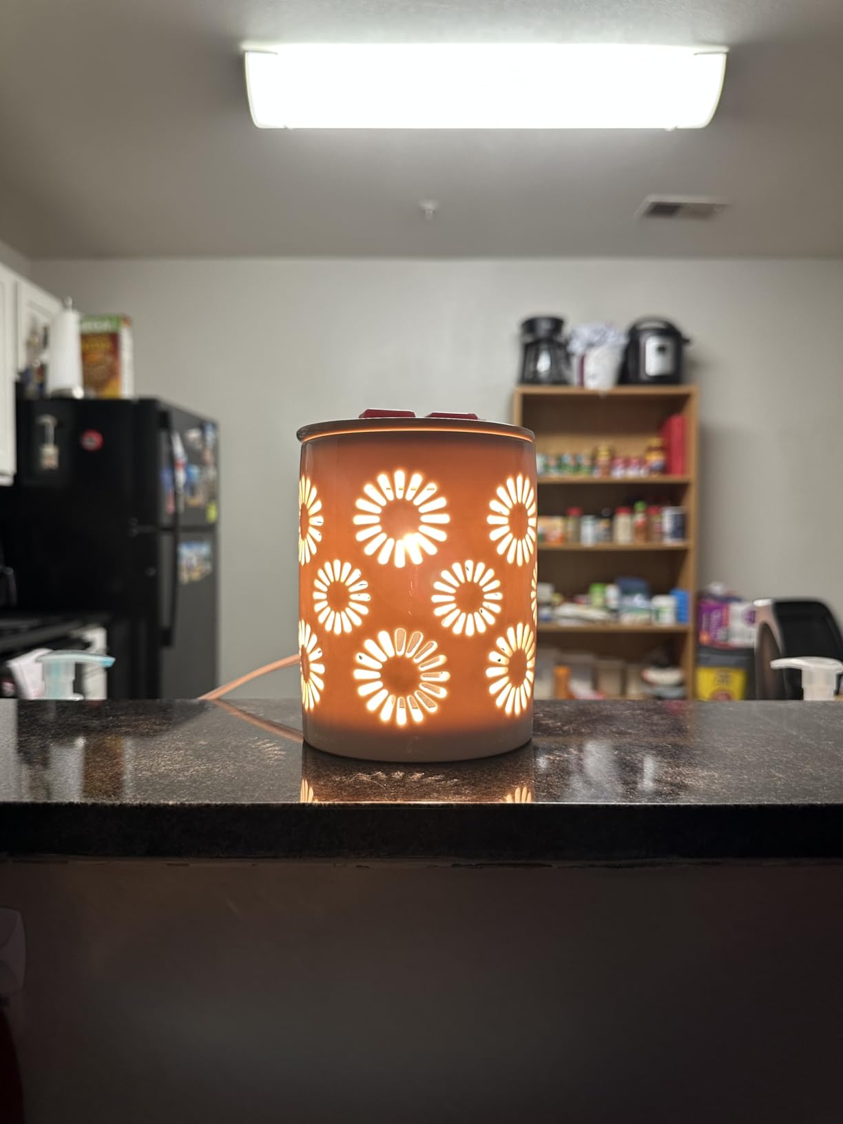 SALKING Ceramic Wax Melt Warmer, Electric Wax Warmer for Scented Wax, Candle Warmer Oil Burner with Edison Bulbs, Sunflower Fragrance Warmer Wax Cubes for Home, Bedroom, Birthday Gifts for Women customer photo 1