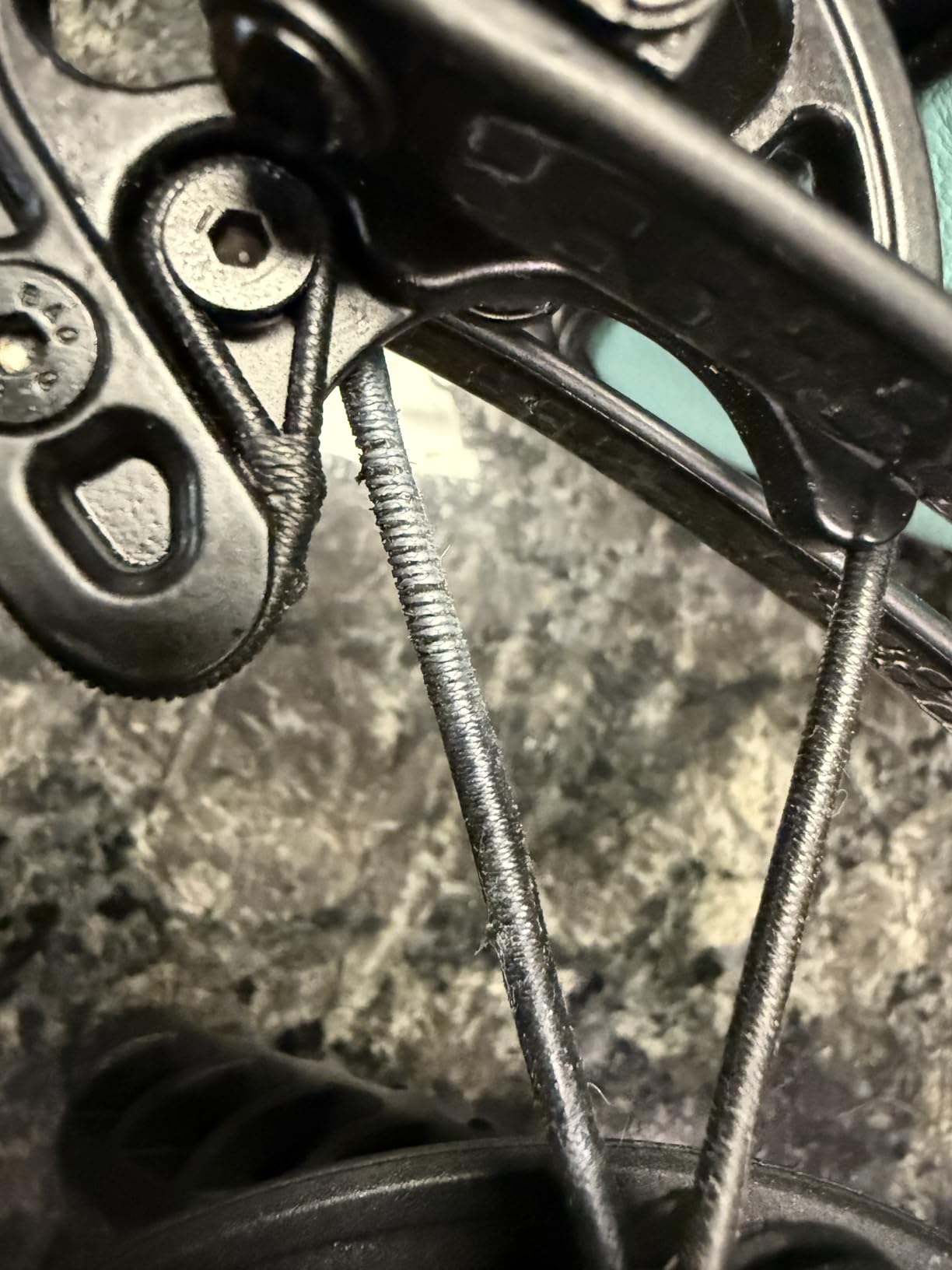 BALLISTA BAT Compound Crossbow for Hunting, Bowfishing and Target, 300 FPS customer photo 2