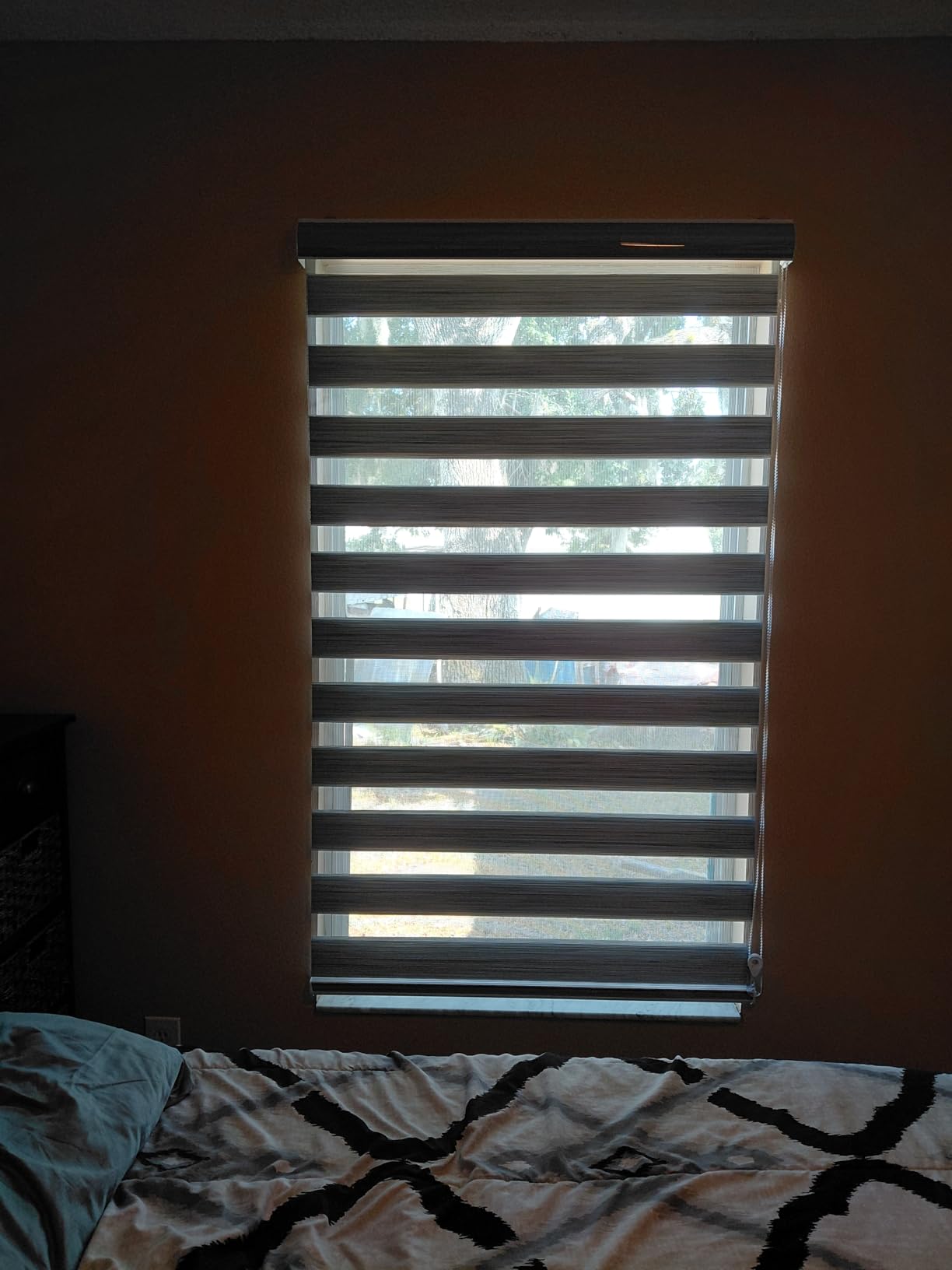 Zebra Roller Shades, Dual Layer Roll Up Blind for Living Room, Semi Sheer Shades Window Privacy Light Control for Day and Night, (Maximum Height 72inch, White Color, Width 34 inch) customer photo 2