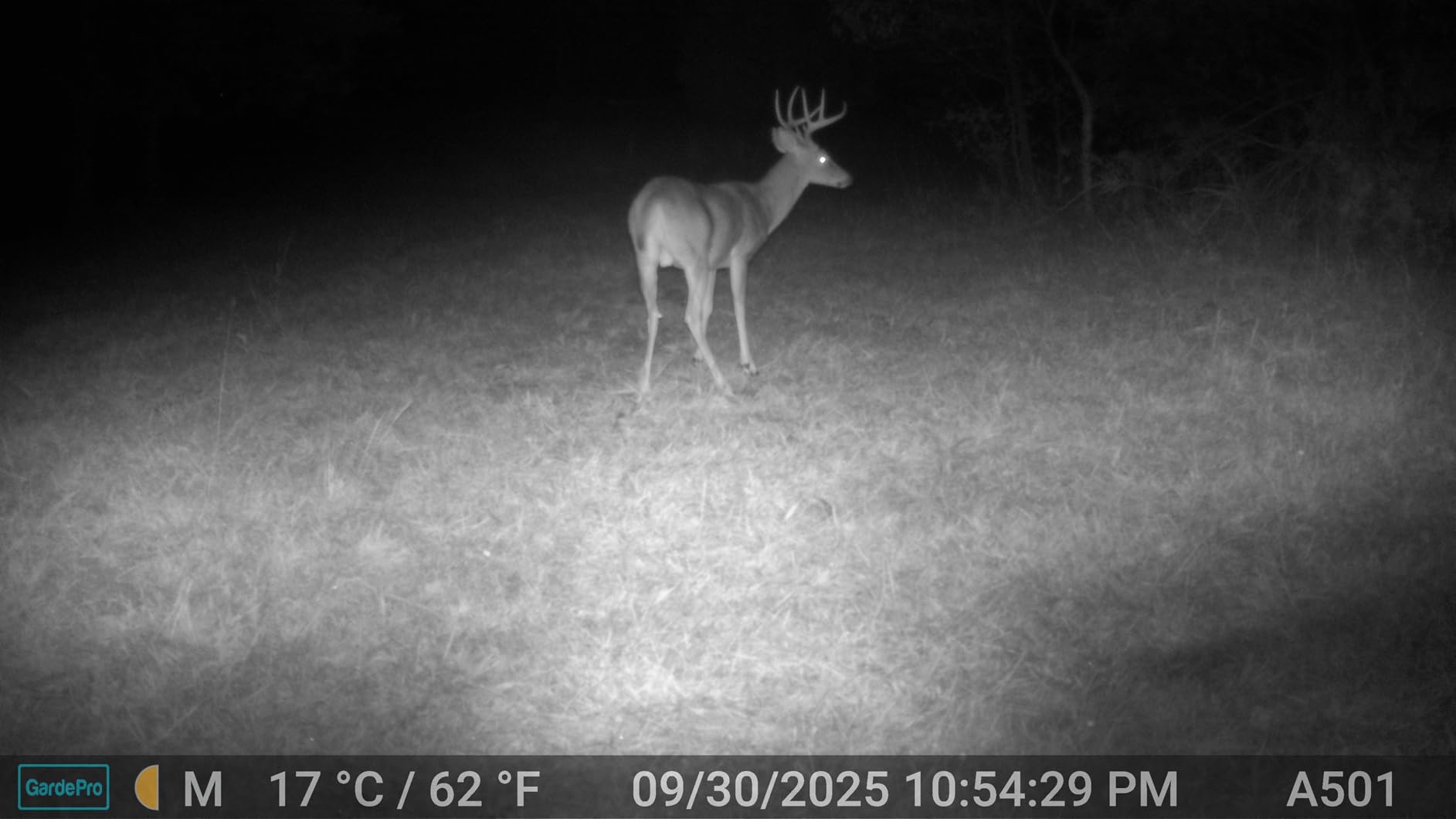GardePro E5S Non-Cellular Trail Camera, 1296P HD Video with Sound customer photo 2