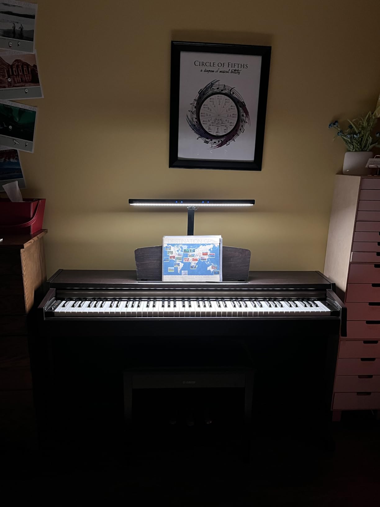 Quntis 55'' Ultra Wide Illumination LED Professional Eye Caring Piano Lamp customer photo 2