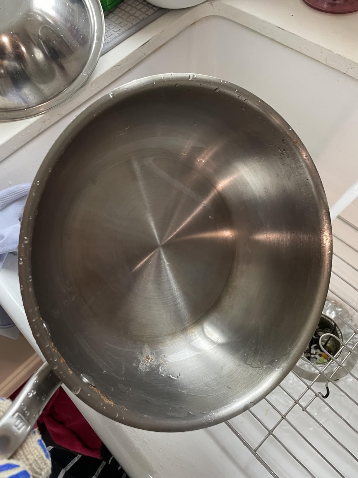 Made In Cookware - 3 Quart Stainless Steel Saucier Pan - 5 Ply Stainless Clad - Professional Cookware - Crafted in Italy - Induction Compatible customer photo 1