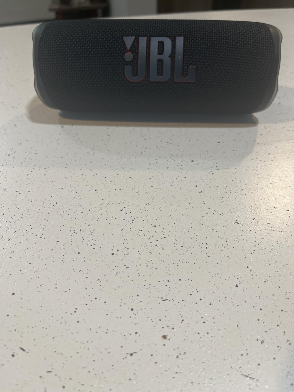 JBL Flip 6 - Portable Waterproof Speaker - Camo customer photo 1