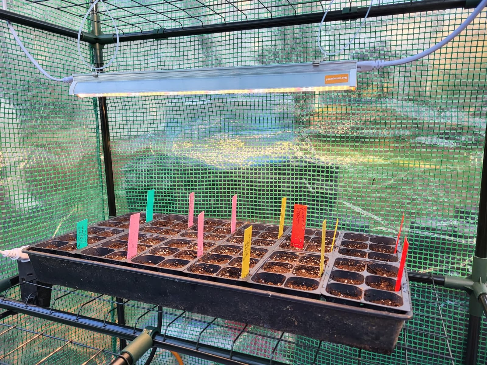 T5 Grow Lights for Seed Starting, 10W x2, Grow Lights for Indoor Plants customer photo 2