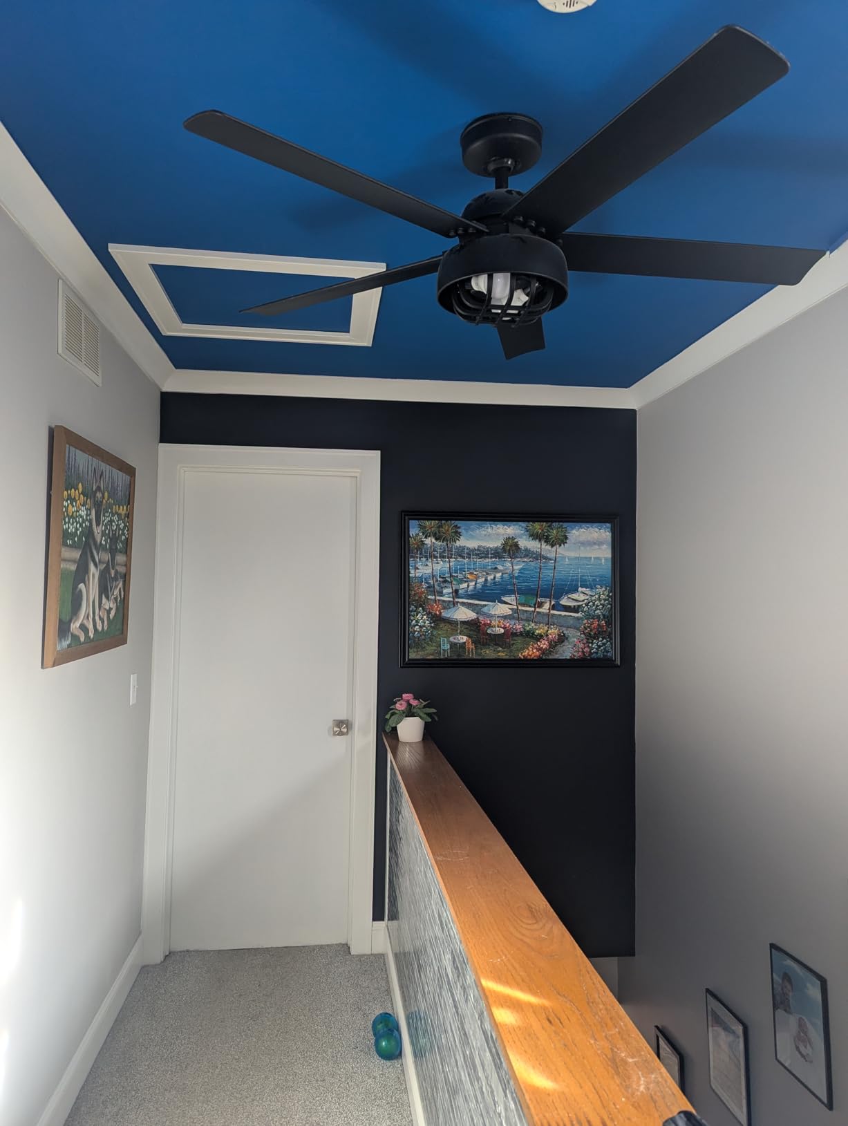 SocTone Telescoping Ladder, Stabilizers, Extension Ladder(12.5FT Standard) customer photo 1