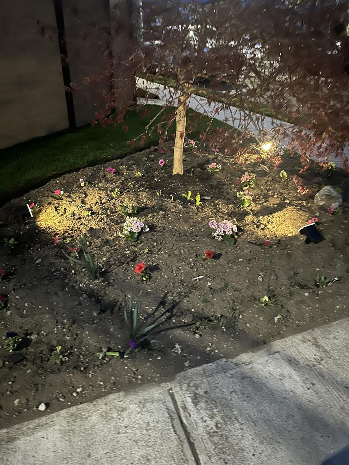 NYMPHY Solar Lights Outdoor Waterproof - 4 Pack (Cool White) customer photo 2