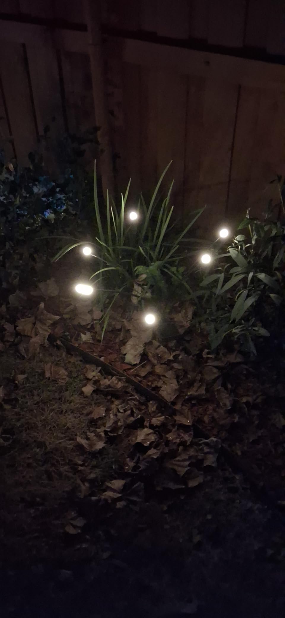 TONULAX Solar Garden Lights - Upgraded Solar Swaying Light, Sway by Wind, Outdoor Lights, Yard Patio Pathway Decoration, High Flexibility Iron Wire & Heavy Bulb Base, Warm White (4 Pack) customer photo 1
