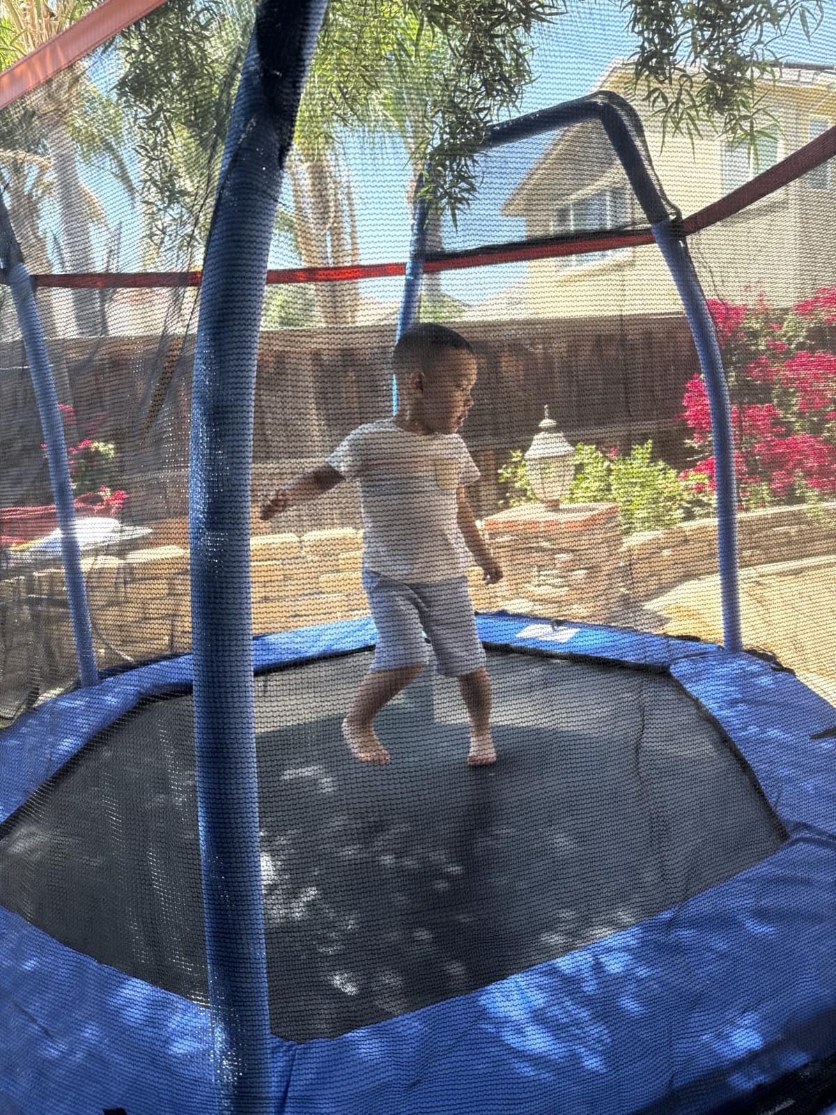 Giantex 7 Ft Trampoline for Kids, Heavy Duty Steel Frame Small Mini Toddler Trampoline, Great Gifts for Boys Girls, Outdoor Indoor Kids Trampoline with Net, for Age 3-8 customer photo 2