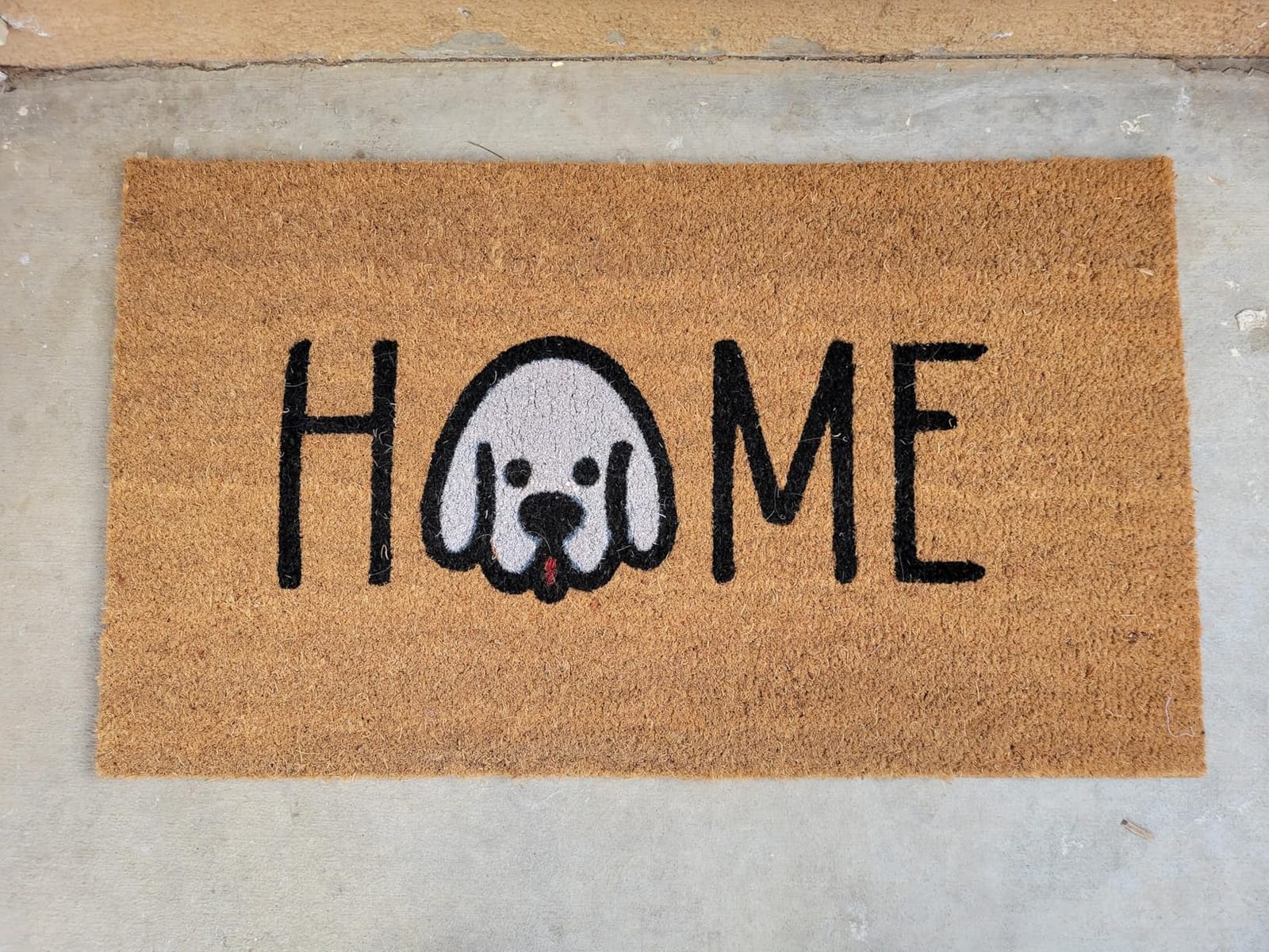 Coir Welcome Mat, Non-Slip, Colorful Birds, 17 x 29 in customer photo 2