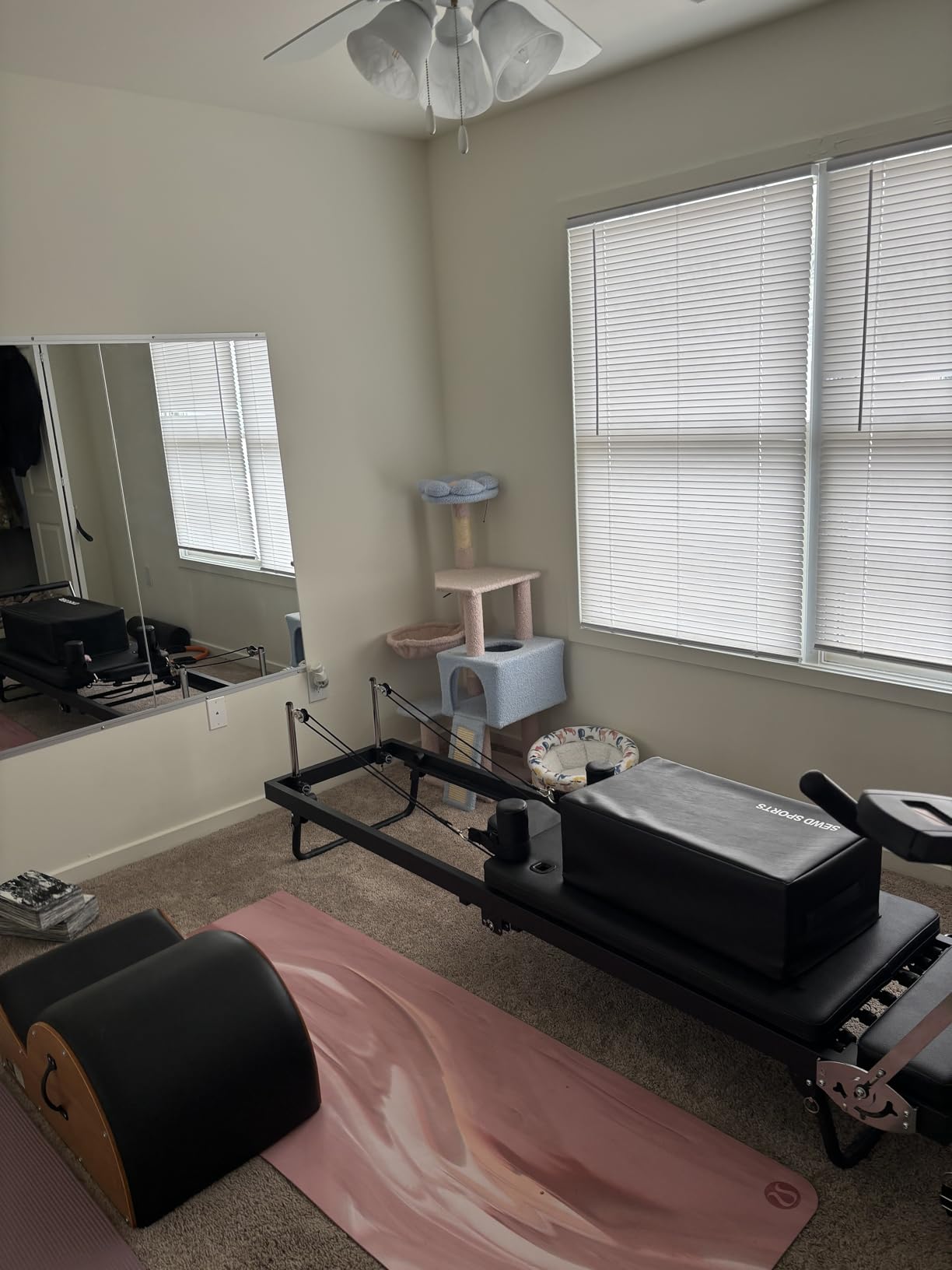 Delma Home Gym Mirror, 48