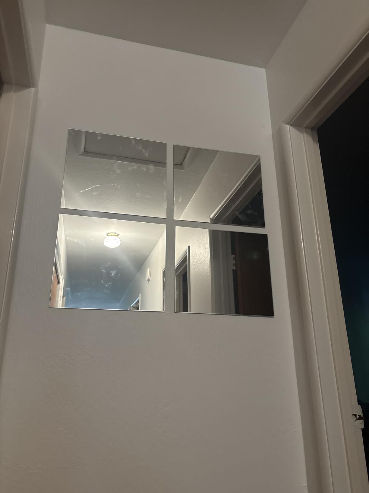 Delma Home Gym Mirror, 48
