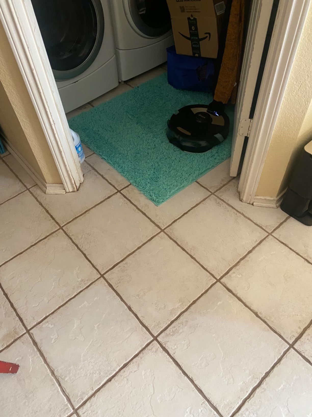 Shark Matrix Plus customer photo 2
