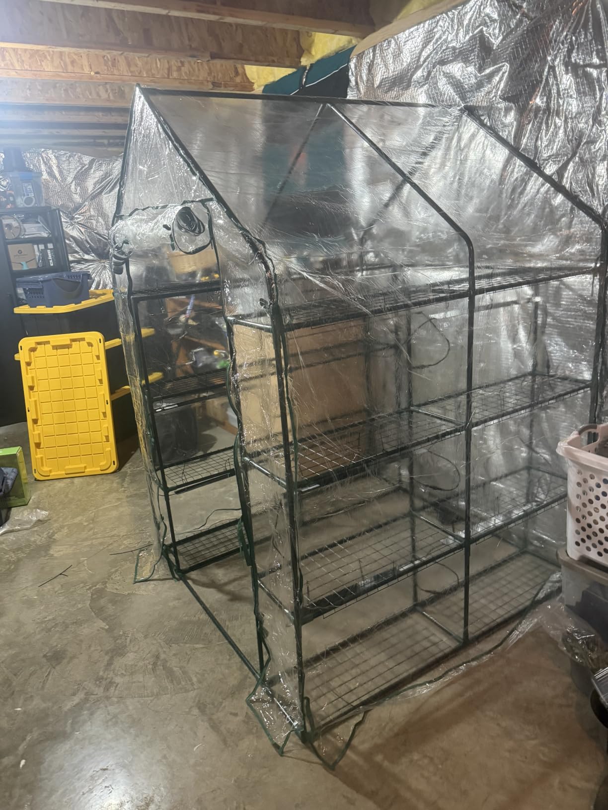 Bstrip Indoor Greenhouse with Grow Light, 4-Tier Mini Greenhouse Indoor customer photo 1