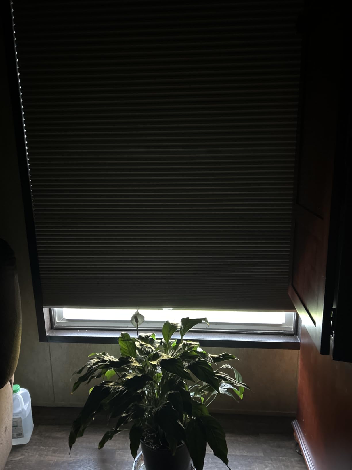 Changshade Cordless Cellular Shades,Blackout Honeycomb Shades for Windows,Pull Down Pleated Blinds,Easy to Install for Indoor Windows and French Doors,White(Blackout),Custom Size customer photo 2