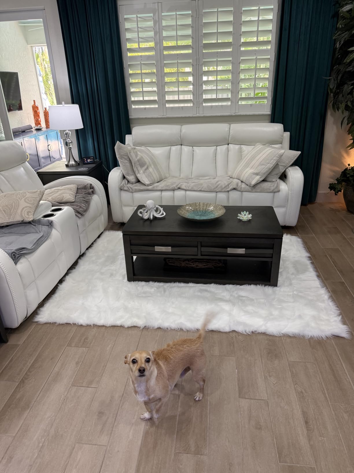 linmopm Faux Fur Sheepskin Rug, White, 4x6 ft customer photo 1