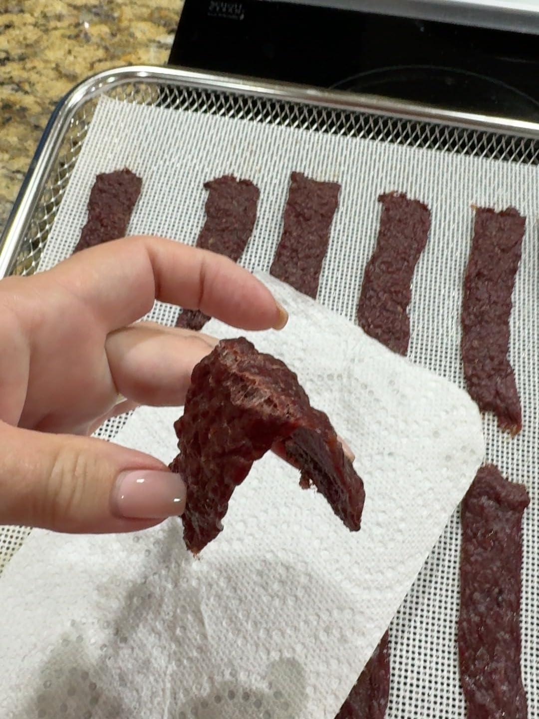 Professional Beef Jerky Gun Kits, Stainless Steel Jerky Maker, Jerky Cannon, Meat Gun with 5 Stainless Nozzles and 5 Brushes customer photo 2