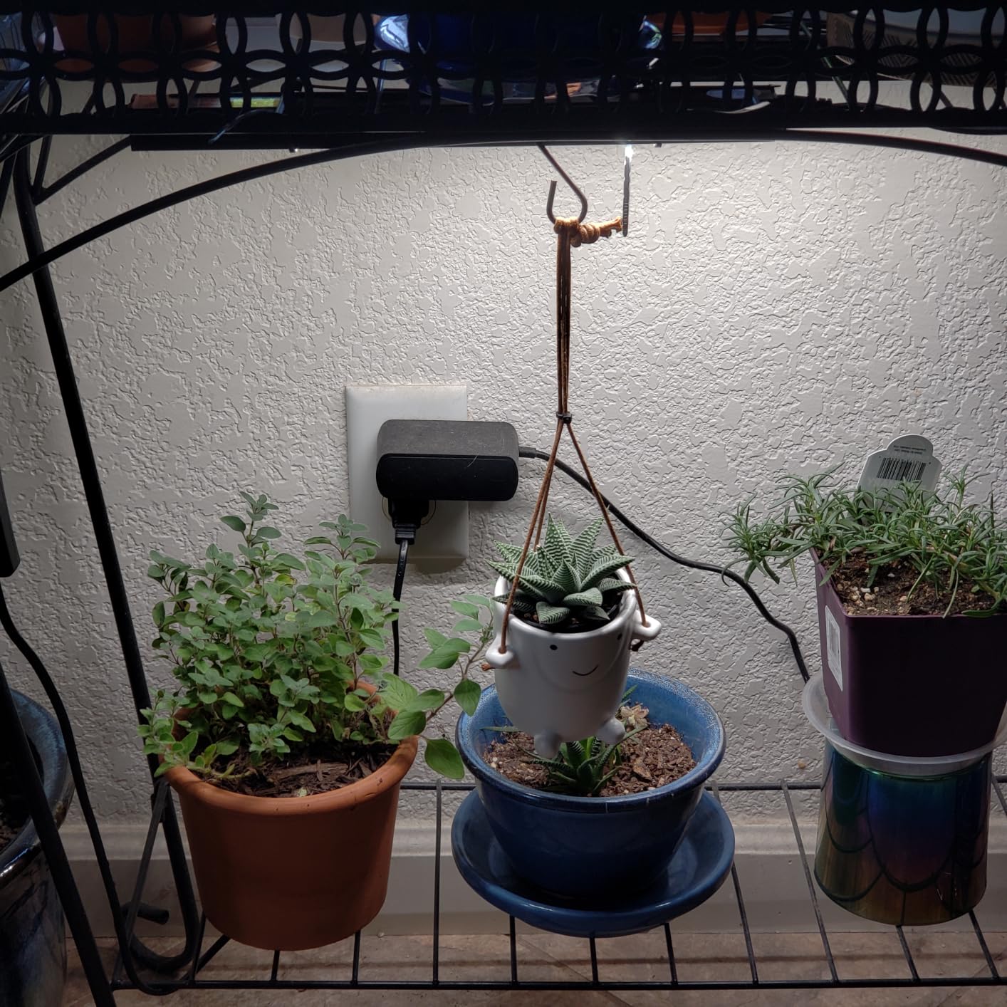 Barrina T5 Grow Lights for Indoor Plants, 5000K Full Spectrum, 1FT, 4 Packs customer photo 2
