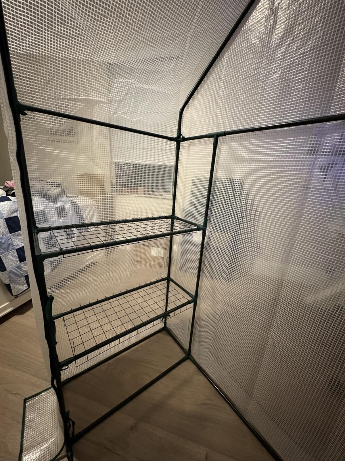 56x56x78 Large Walk-in Greenhouse for Outdoors, Plant House with Shelves customer photo 1