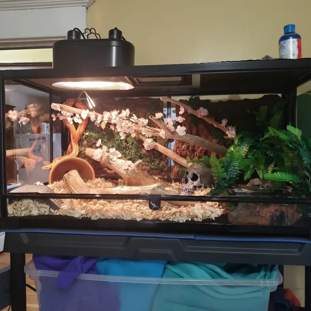 Zilla QuickBuild Reptile 65 Gallon Glass Terrarium, 48