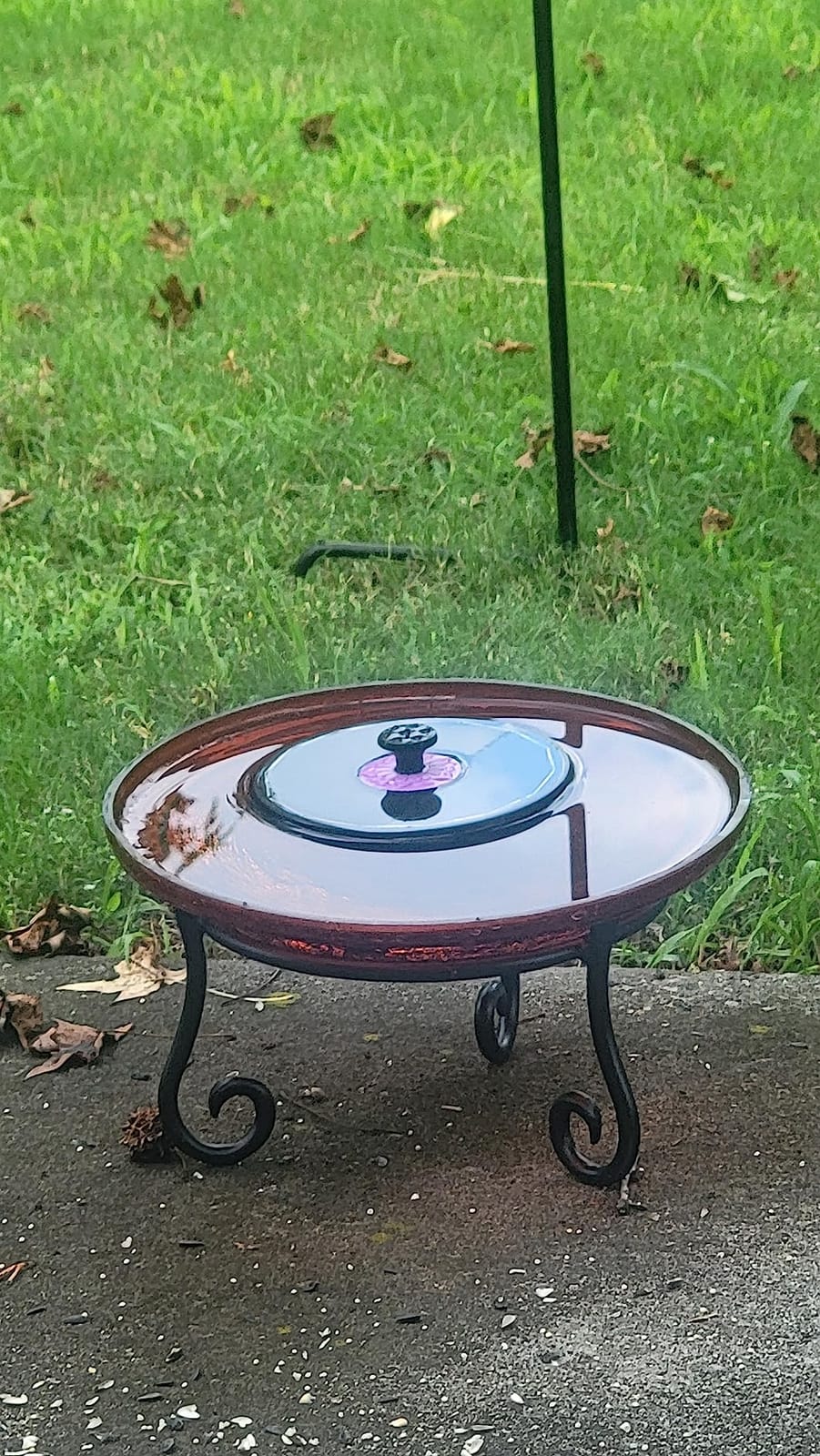 SZMP Solar Fountain 3.5W Bird Bath Fountains with Flower Upgraded Glass Panel, Solar Powered Water Fountain with 7 Nozzles & 4 Fixer, Solar Fountain Pump for Bird Bath, Garden, Pond, Outdoor -Black customer photo 2