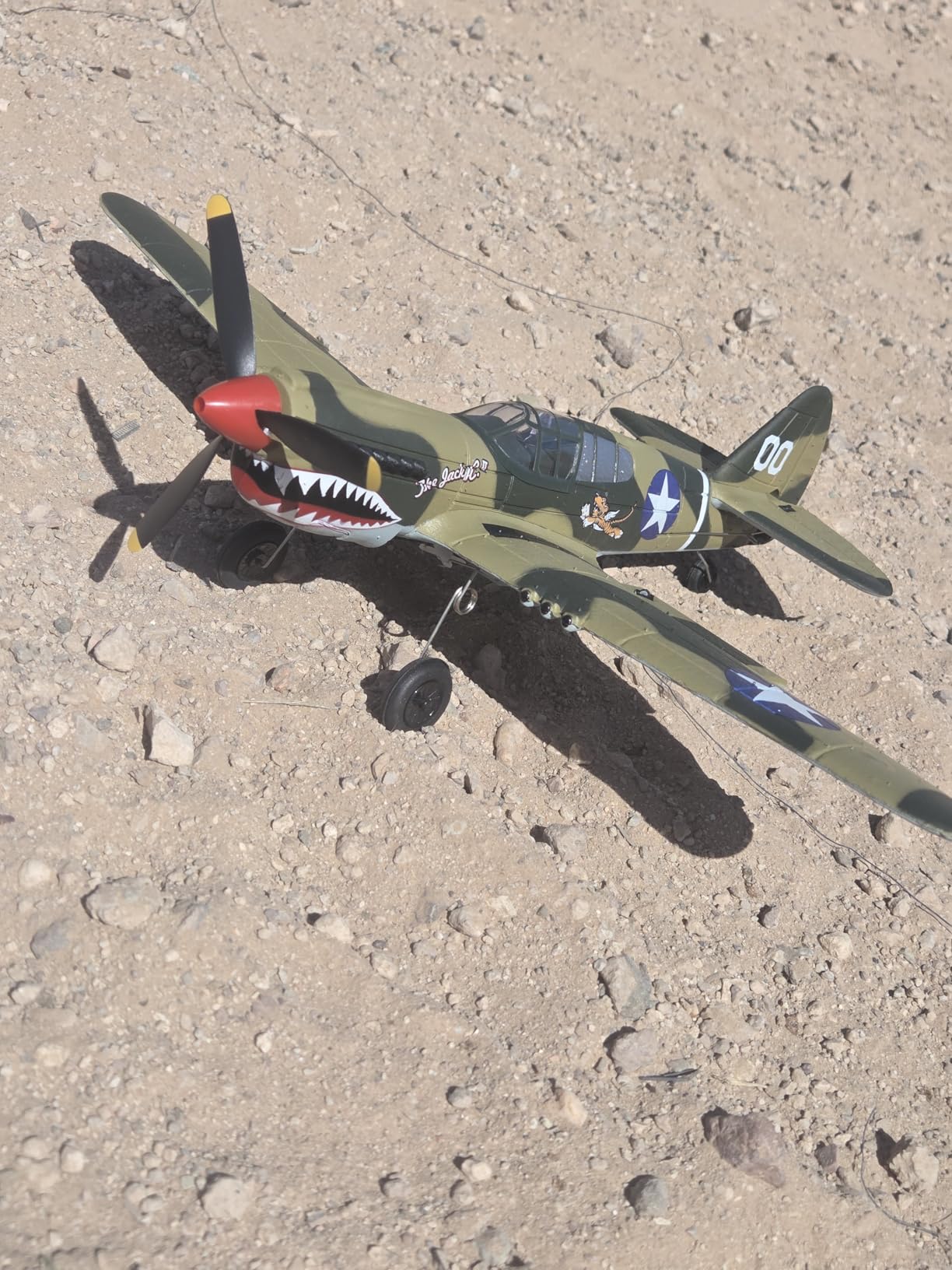 volantexrc RC Plane, 4CH Remote Control Airplane for Beginners & Adults customer photo 2