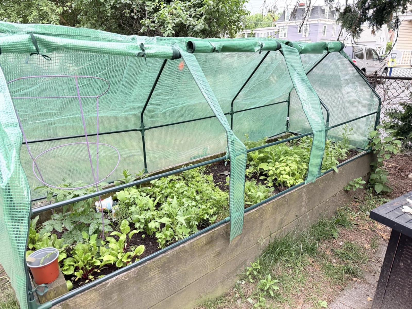 Outsunny 5.9' x 3' x 3' Mini Greenhouse Portable with Zippered Doors White customer photo 2
