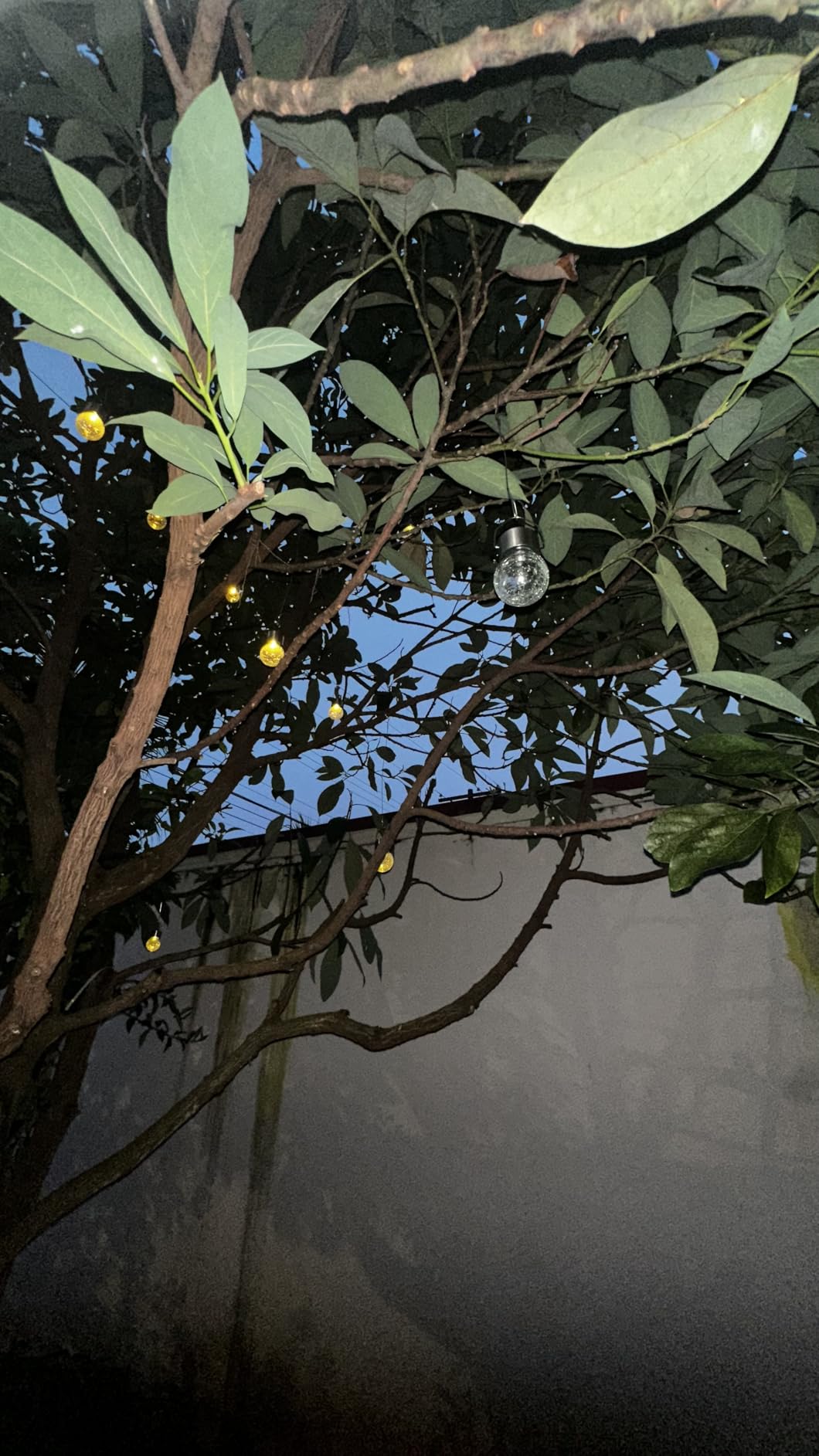 GIGALUMI Solar Hanging Lights Outside Solar Christmas Decoration Light 12Pc customer photo 1