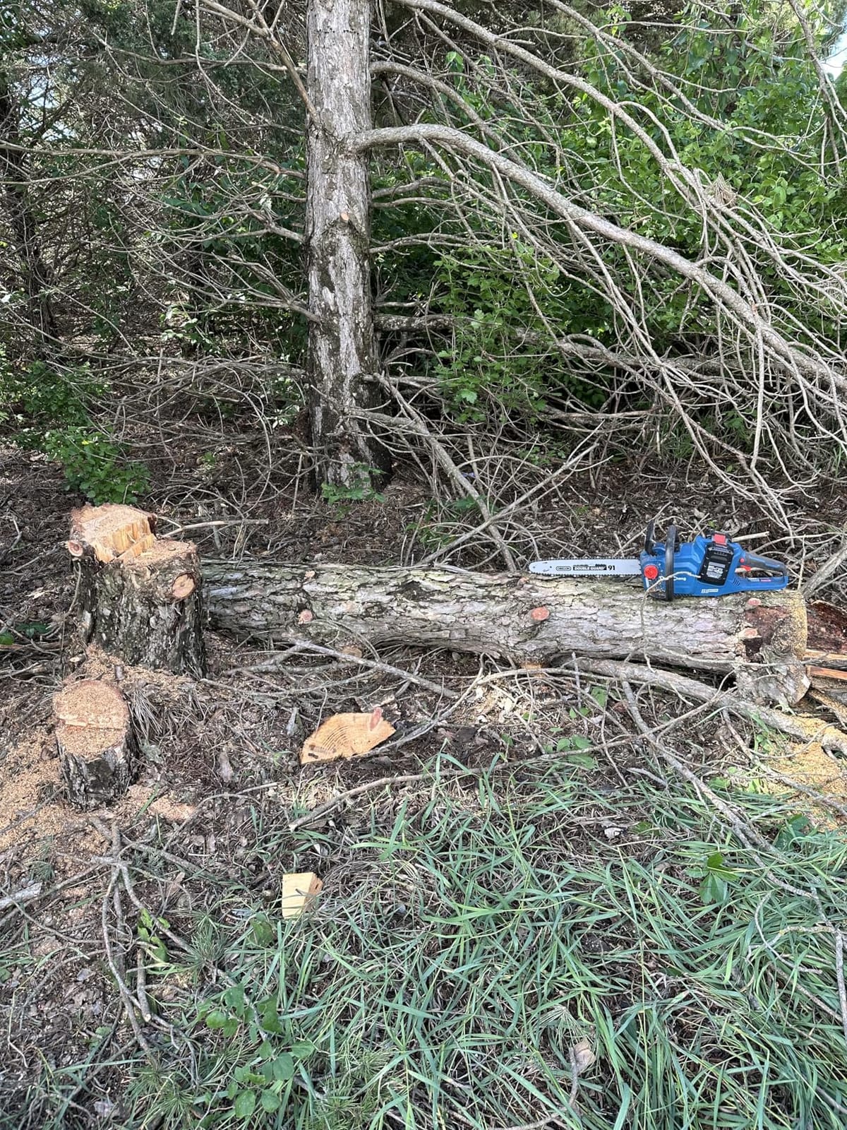 DongCheng 40V 16-Inch Brushless Cordless Chainsaw with 2x4.0Ah Batteries – Gas-Like Power for Tree Felling, Storm Cleanup & Firewood, Tool-Free Tensioning, Auto Oiler, Chain Brake customer photo 2