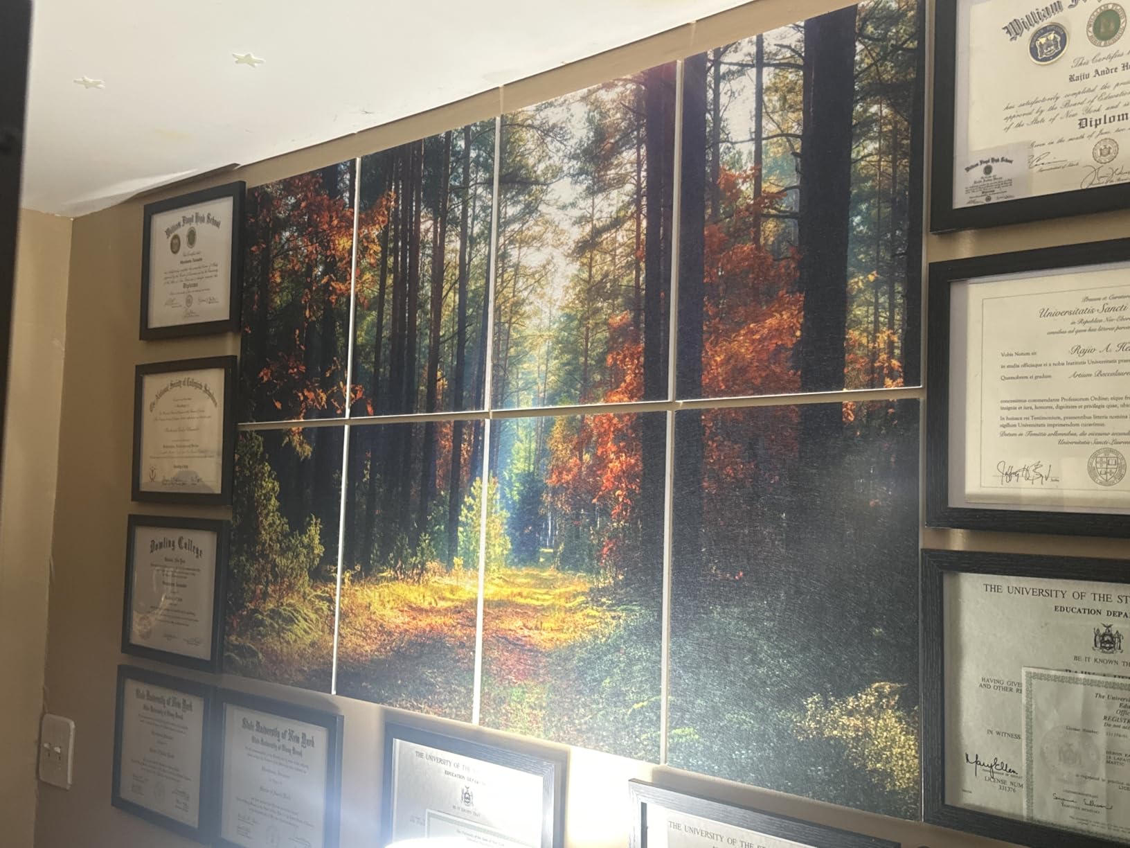 Mollywell Art Acoustic Panels, 48x32 in, Forest Summer customer photo 2