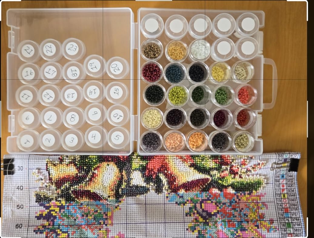 Bead Organizer, Bead Containers, 30 Grids Diamond Painting Storage Containers Clear Bead Organization Diamond Painting Accessories Small Storage Container for Beads Seeds Glitter Rhinestones (1 Pack) customer photo 2