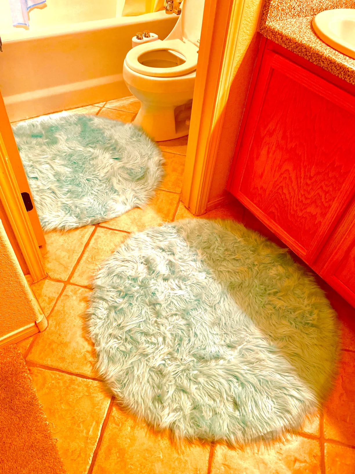 Latepis 2x3 Brown Beige Small Faux Fur Rug Fluffy Furry Rugs Throw Rug Washable Shag Plush Soft Rugs for Living Room Bedroom and Dorm customer photo 1