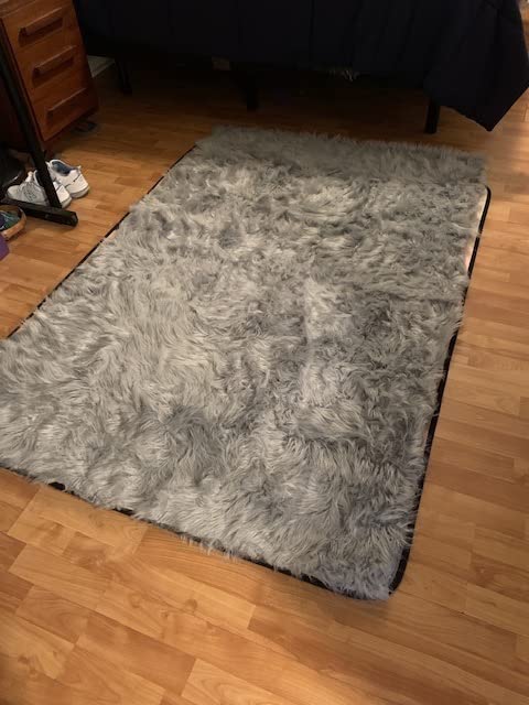 Latepis 2x3 Brown Beige Small Faux Fur Rug Fluffy Furry Rugs Throw Rug Washable Shag Plush Soft Rugs for Living Room Bedroom and Dorm customer photo 2