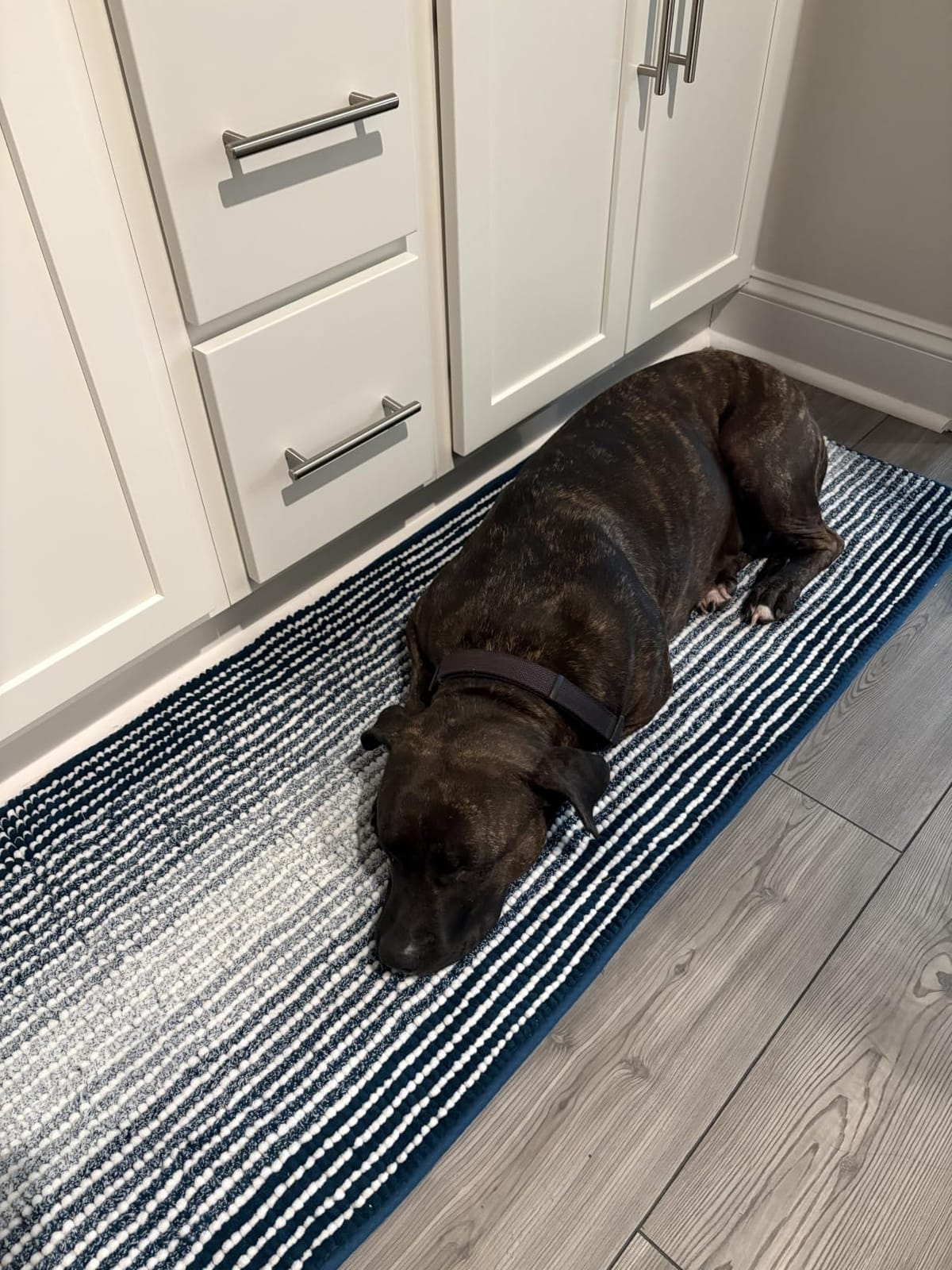 BSICPRO Bathroom Rugs Sets 2 Piece, Non Slip Striped Bath Mats, Sage customer photo 2