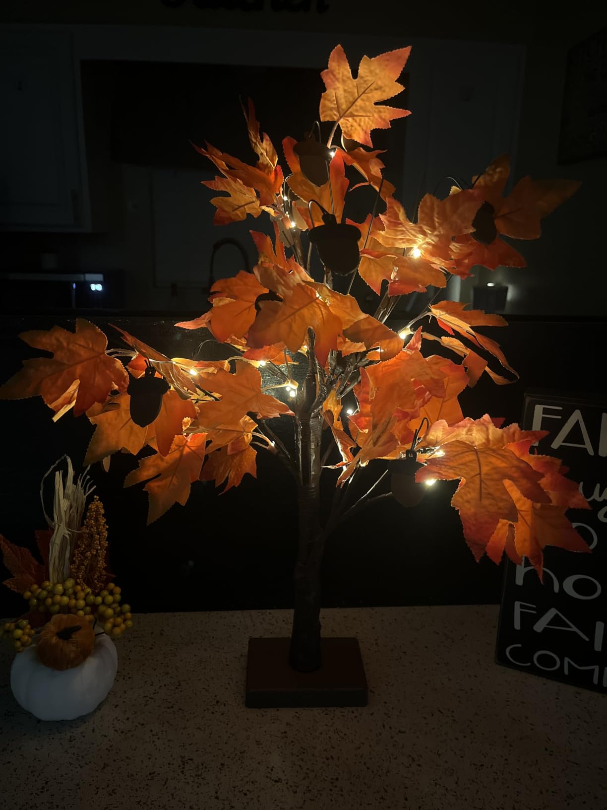 YEAHOME Fall Decorations for Home, Thanksgiving Decorations, 24”/2FT Lighted Fall Maple Leaves Tree with 24 LEDs for Autumn Decor, 12 Wood Acorns Ornaments Battery Powered Timer for Table Indoor customer photo 2