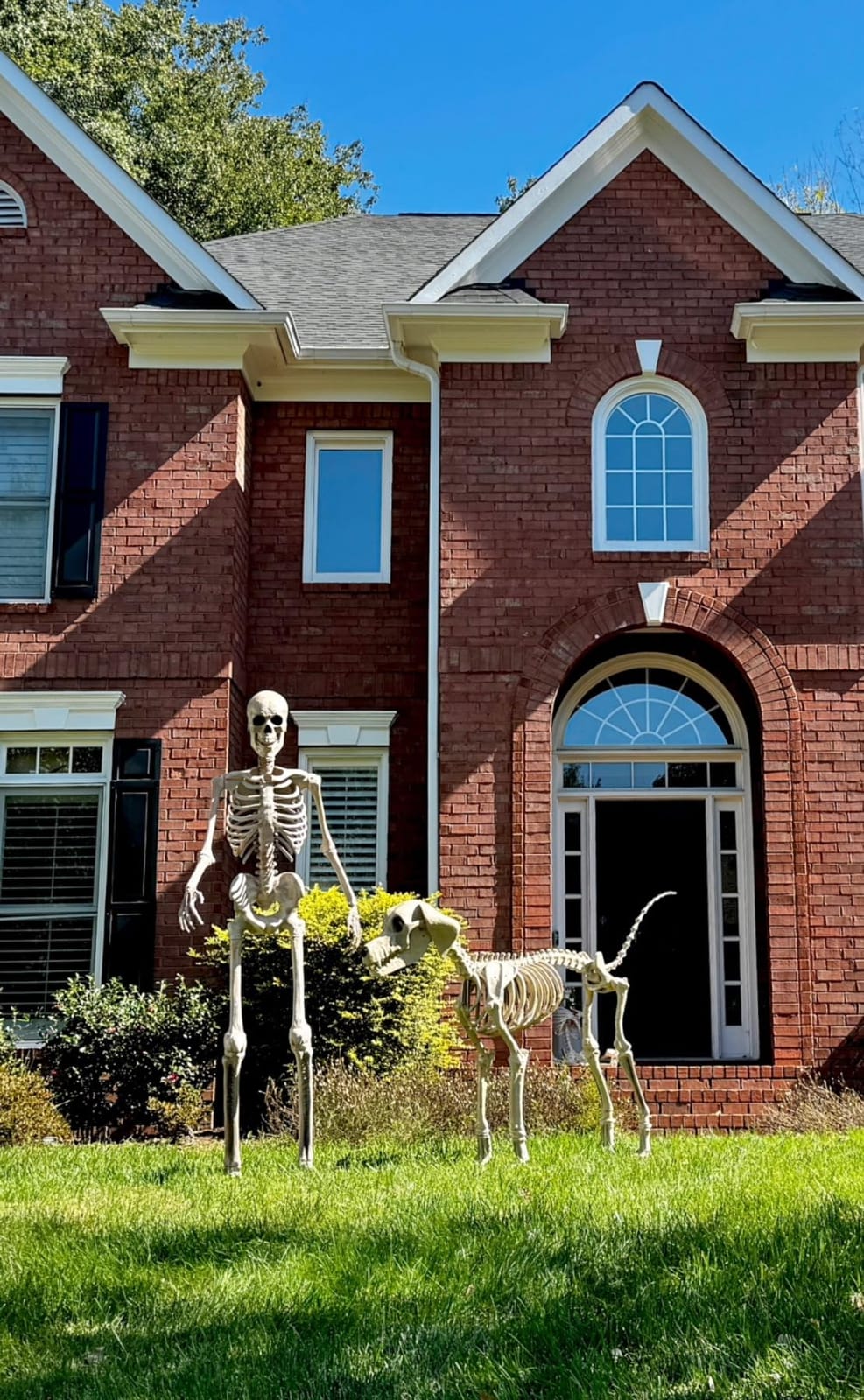 Fun Costumes 8FT Giant Animated White Skeleton Decoration customer photo 1
