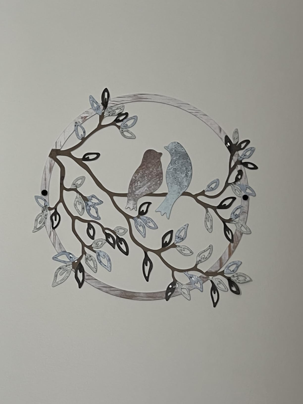 Ferraycle Metal Wall Art Bird Branches Hanging Ornament, Fresh Color customer photo 1