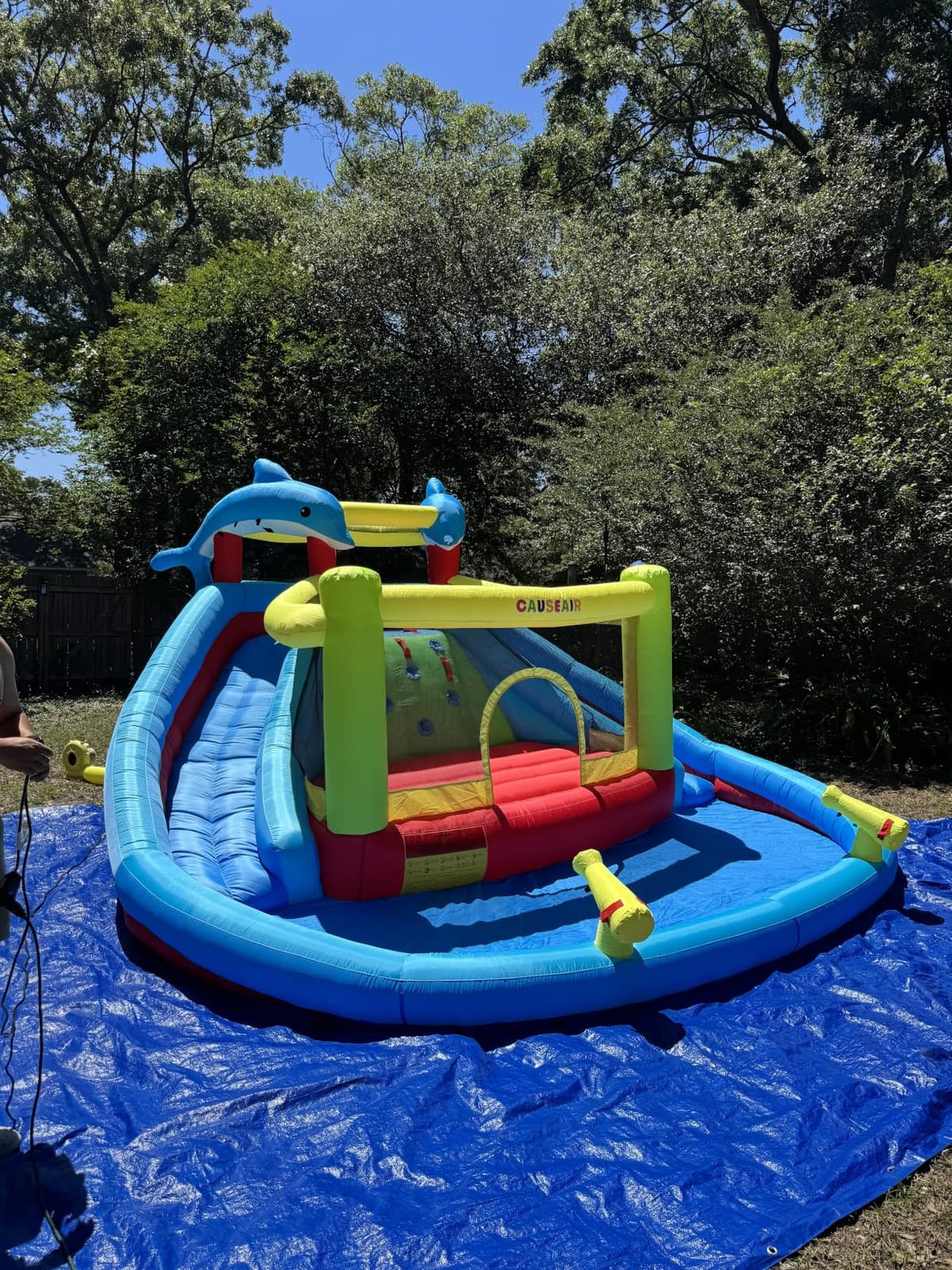 Causeair Inflatable Water Slide with Bounce House,Dolphin Styling,Splashing Pool,Double Water Cannon,Climbing Wall,Heavy Duty Air Blower,Inflatable Water Park Slide for Kids Backyard Summer customer photo 1