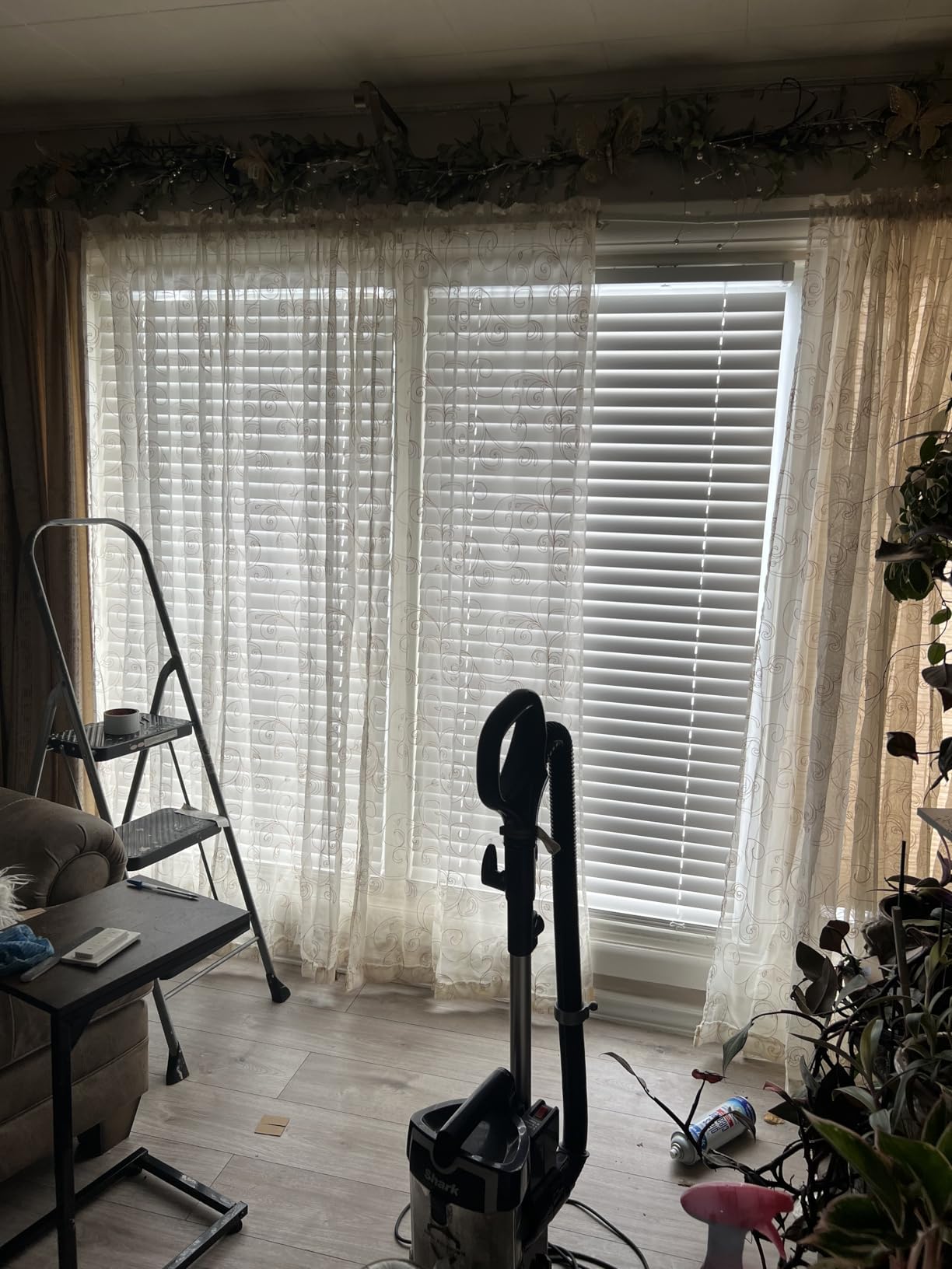 LazBlinds 2