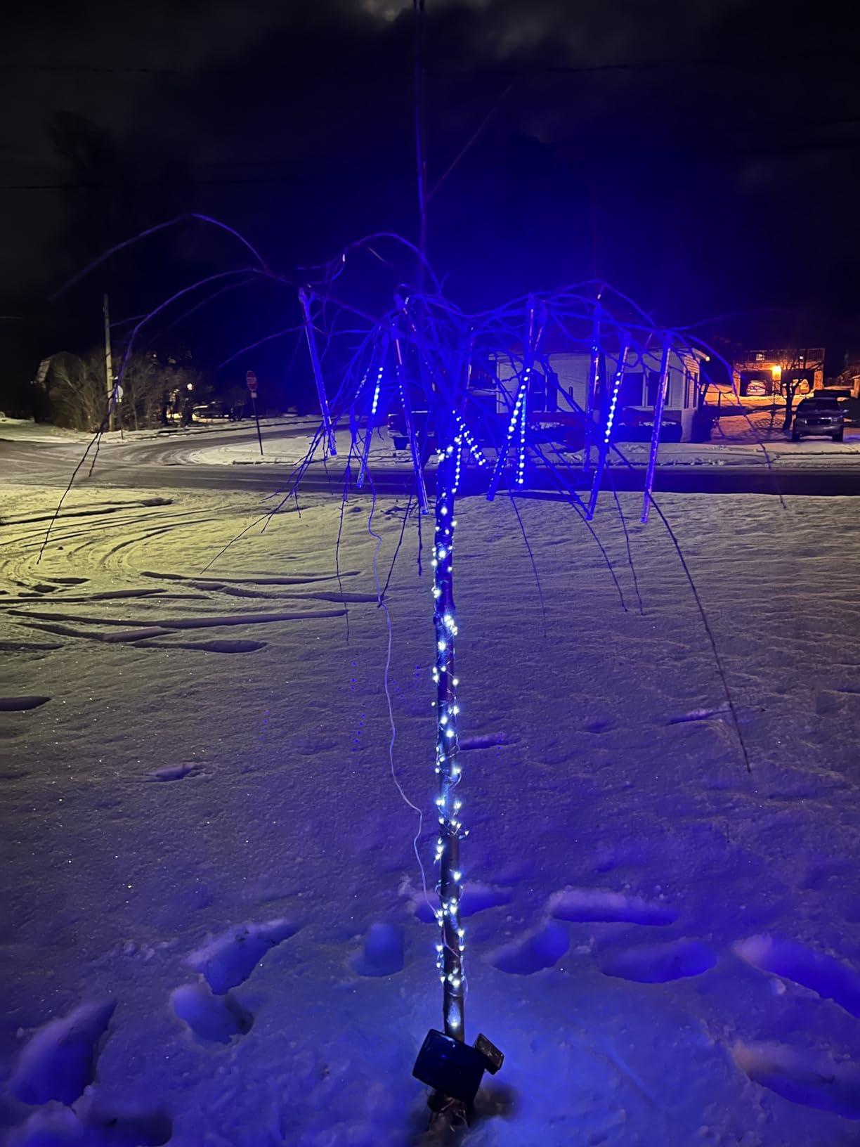 Solar Christmas Fairy String Lights, Red White Green 100Led Outdoor customer photo 1