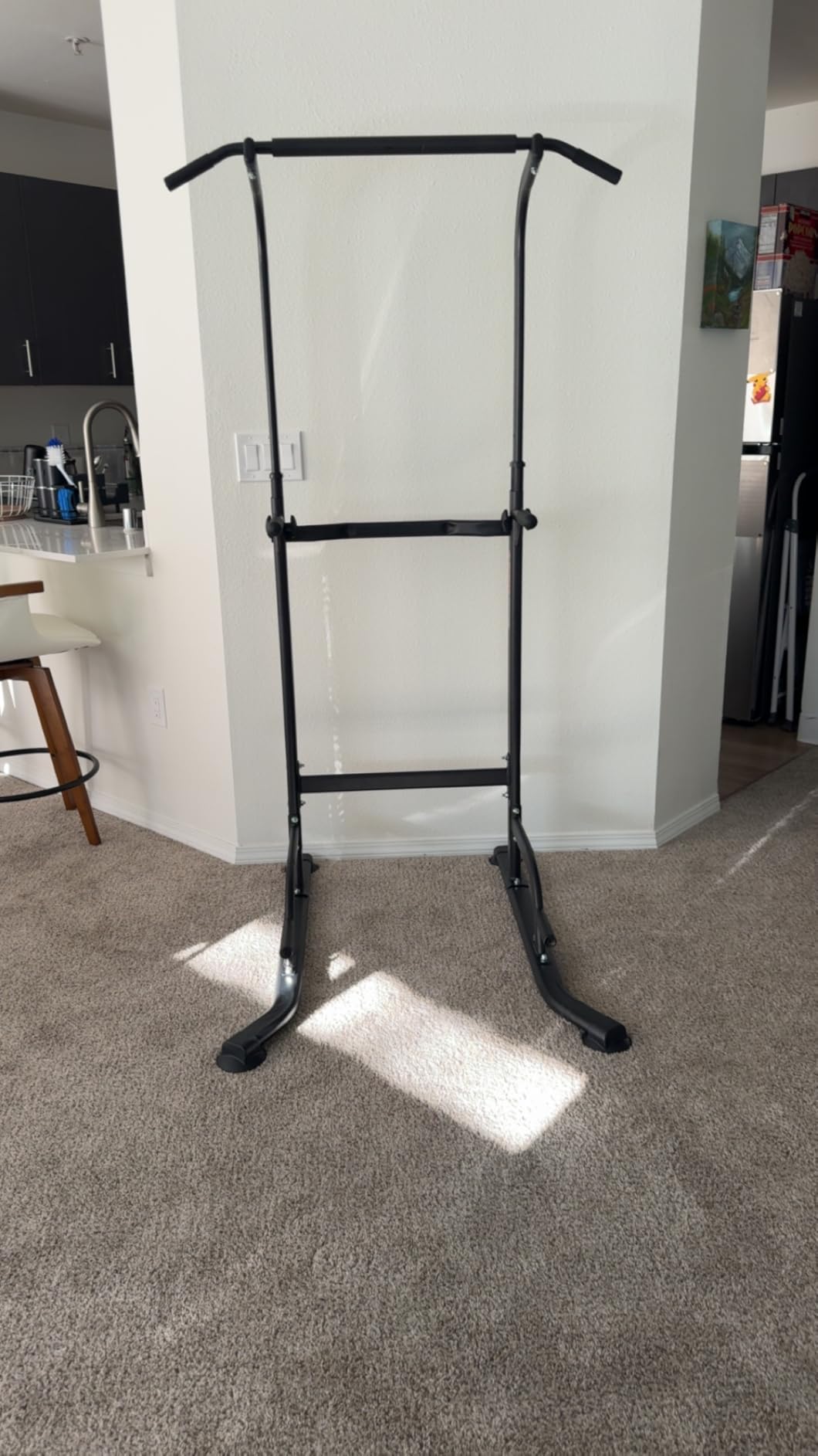 Z ZHICHI Pull-Up Dip Station Pull-Up Chin-Up Weight Capacity 350LBS customer photo 1