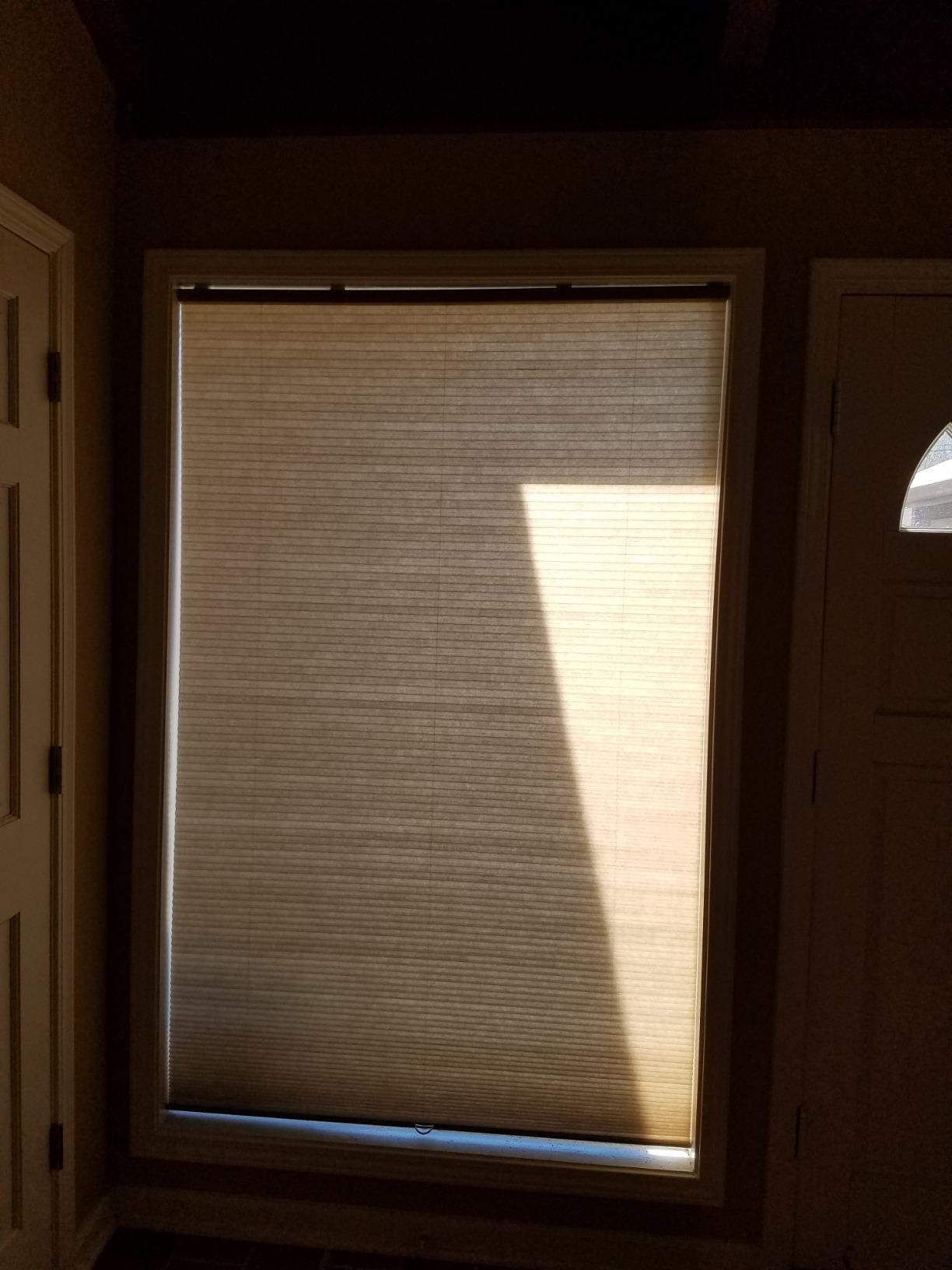 Cordless Cellular Honeycomb Shade, 21 to 72 Wide x 24 to 72 High, Daylight, Light Filtering customer photo 1
