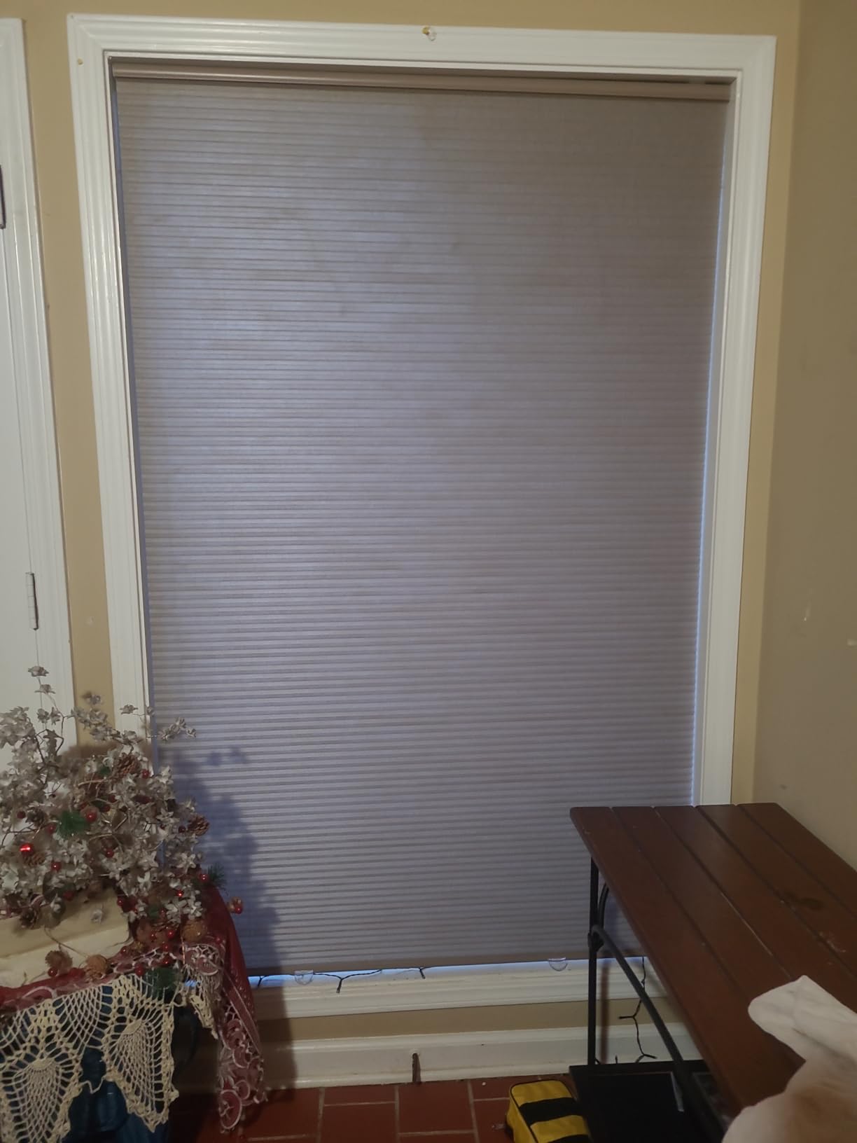 Cordless Cellular Honeycomb Shade, 21 to 72 Wide x 24 to 72 High, Daylight, Light Filtering customer photo 2