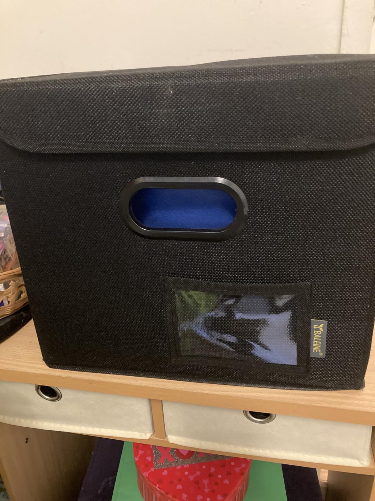 BALEINE File Organizer Box with Lid, Collapsible Hanging File Storage Box customer photo 1