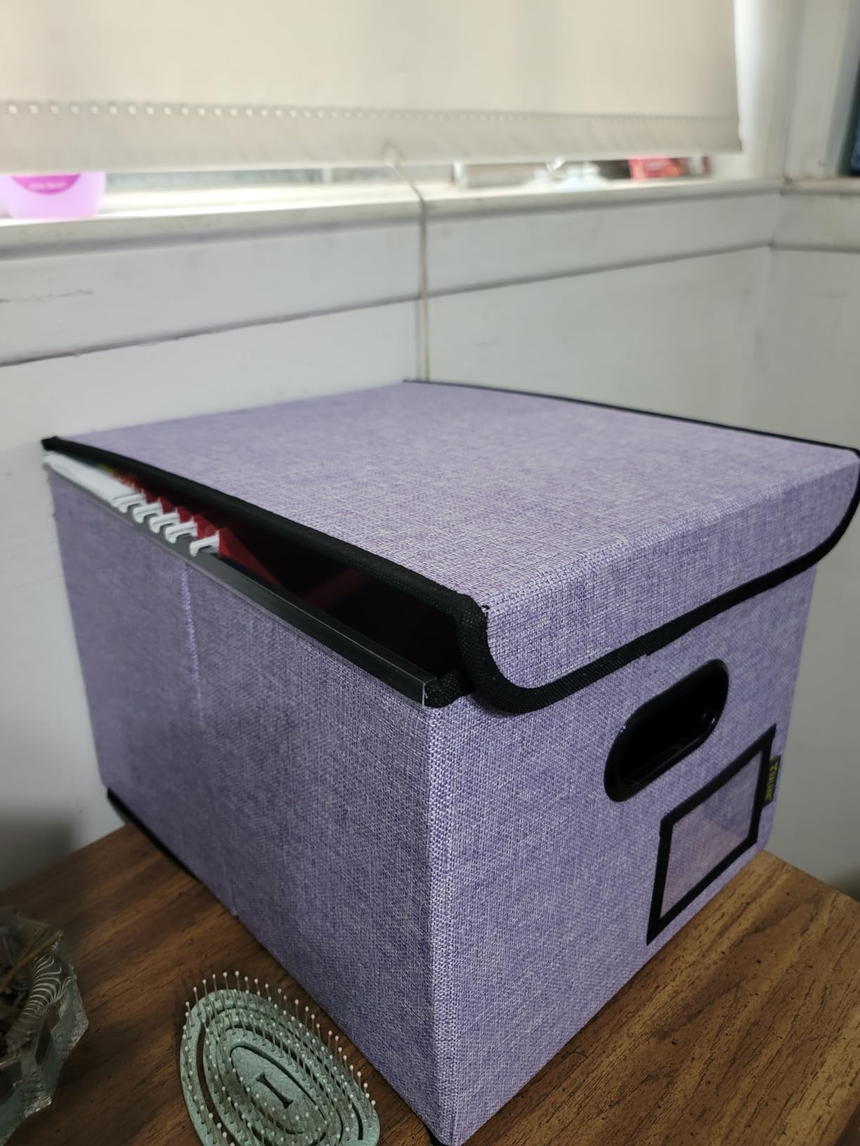 BALEINE File Organizer Box with Lid, Collapsible Hanging File Storage Box customer photo 2