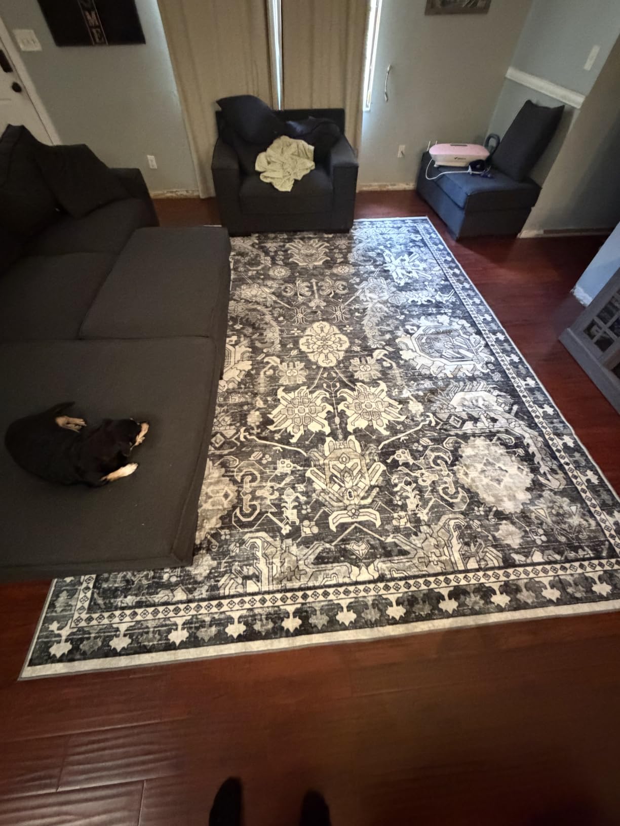 RUGSURE Washable Area Rugs - Perfect for Living Room, Bedroom, Kids Room, Nursery - Stain & Water Resistant Non-Slip, Pet & Child Friendly, Vintage Tribal Area Rugs (Green, 5' x 7') customer photo 1