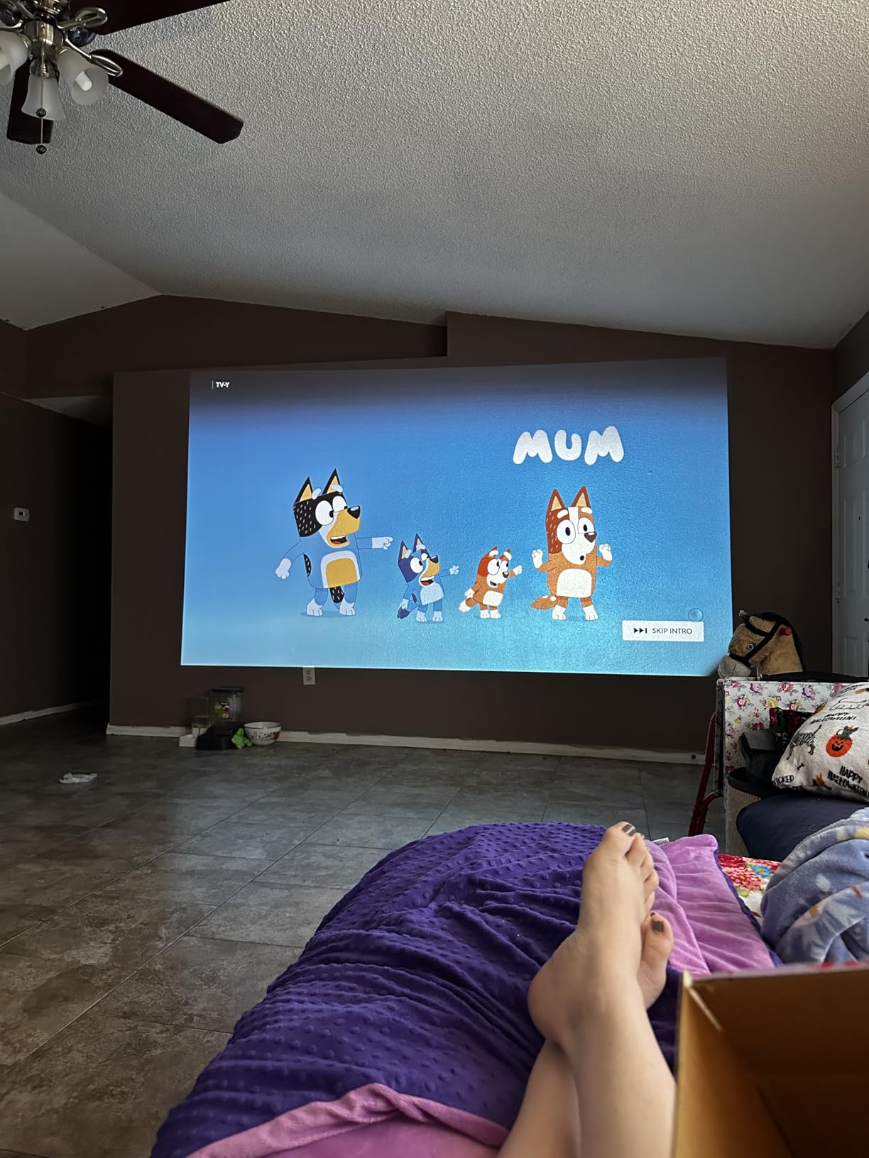 ViewSonic PA503HD 4000 Lumens 1080p Full HD DLP Projector, High Brightness customer photo 1