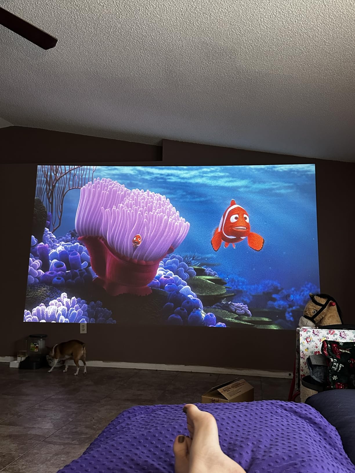 ViewSonic PA503HD 4000 Lumens 1080p Full HD DLP Projector, High Brightness customer photo 2