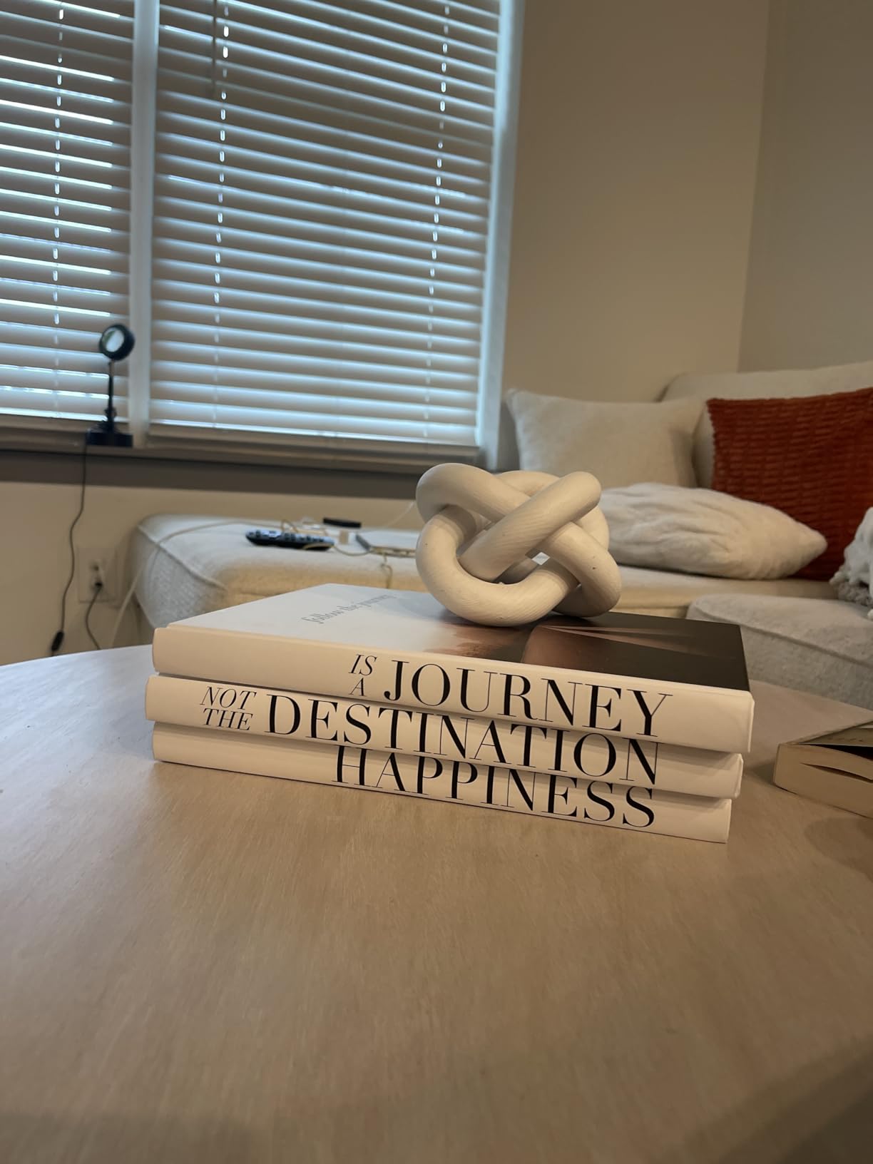 Decorative Books for Home Decor - Coffee Table Book Decor - Fake Books for Decoration - Faux Books for Decoration - Decorative Books for Coffee Table Decor - Decor Books - Large Book Decor customer photo 1